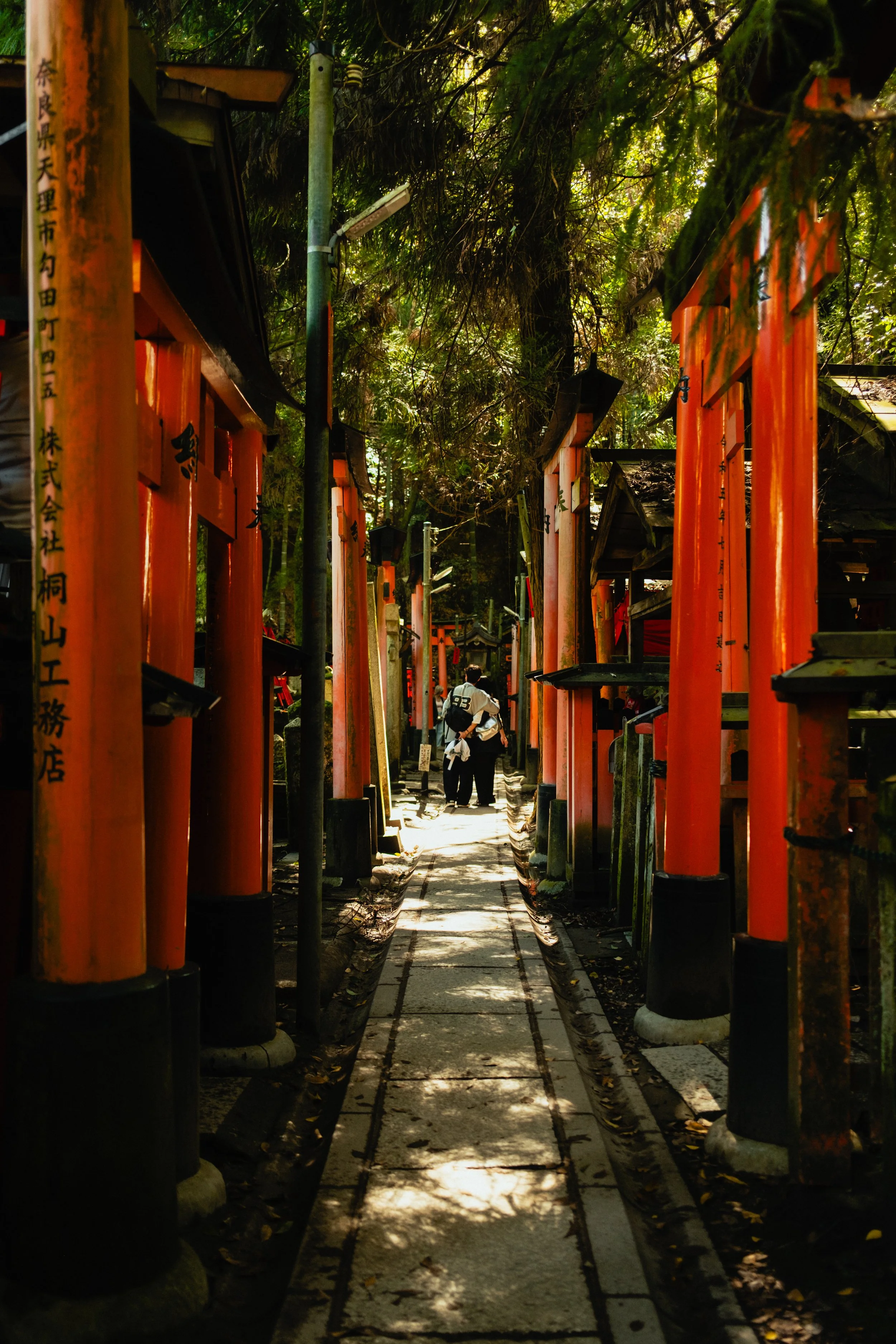 Japan- Fuji_-150.jpg