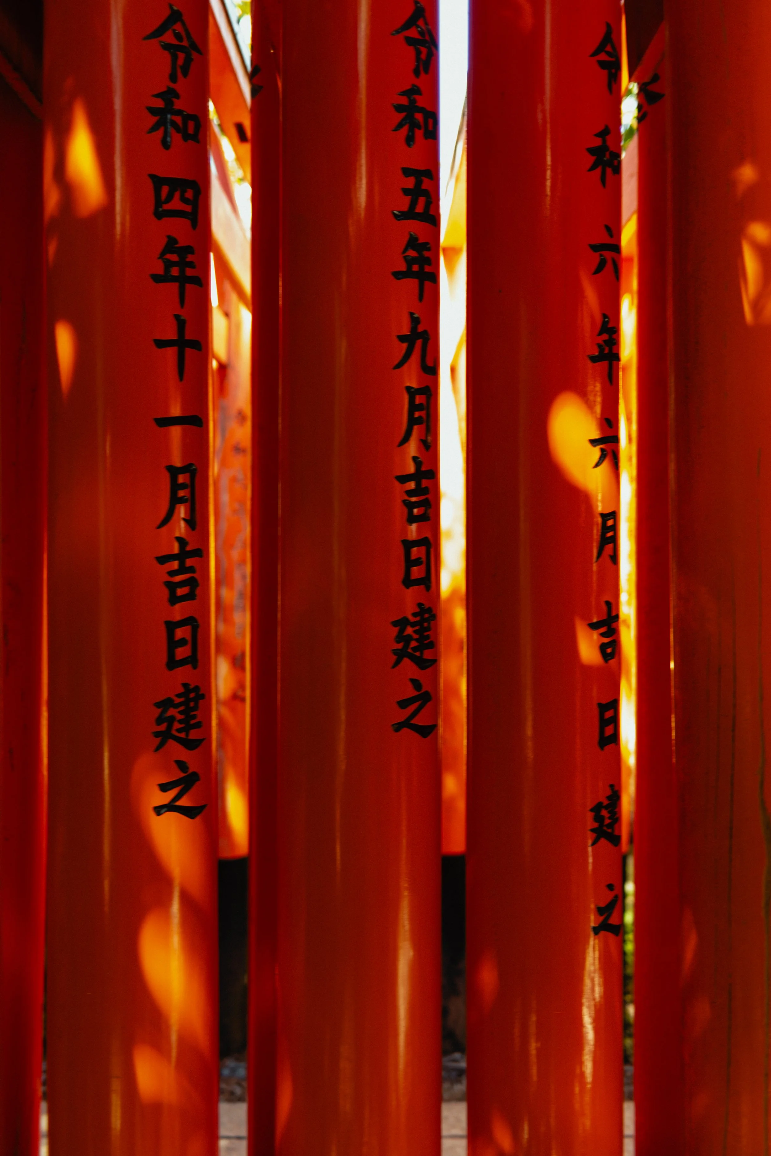 Japan- Fuji_-123.jpg