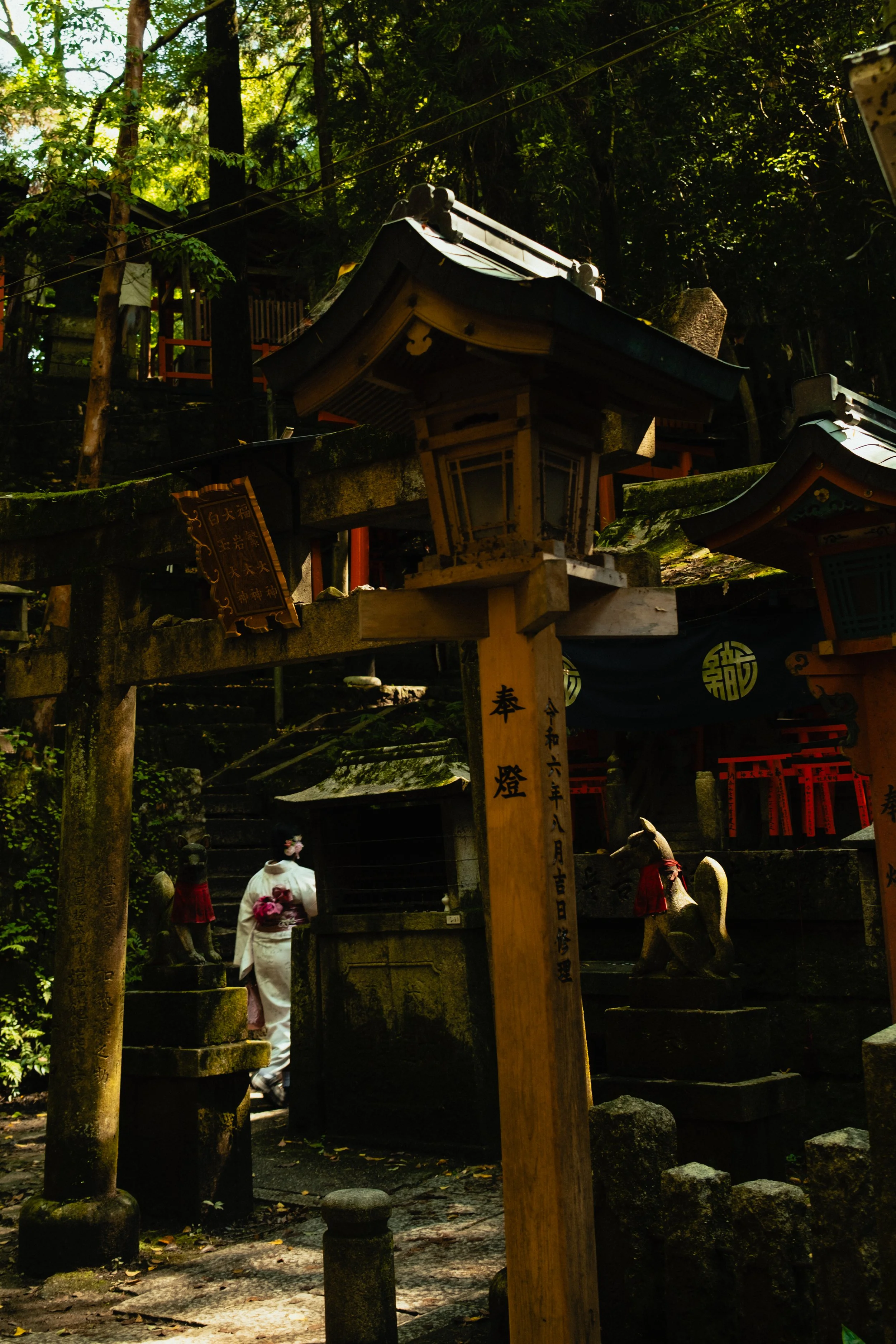 Japan- Fuji_-145.jpg