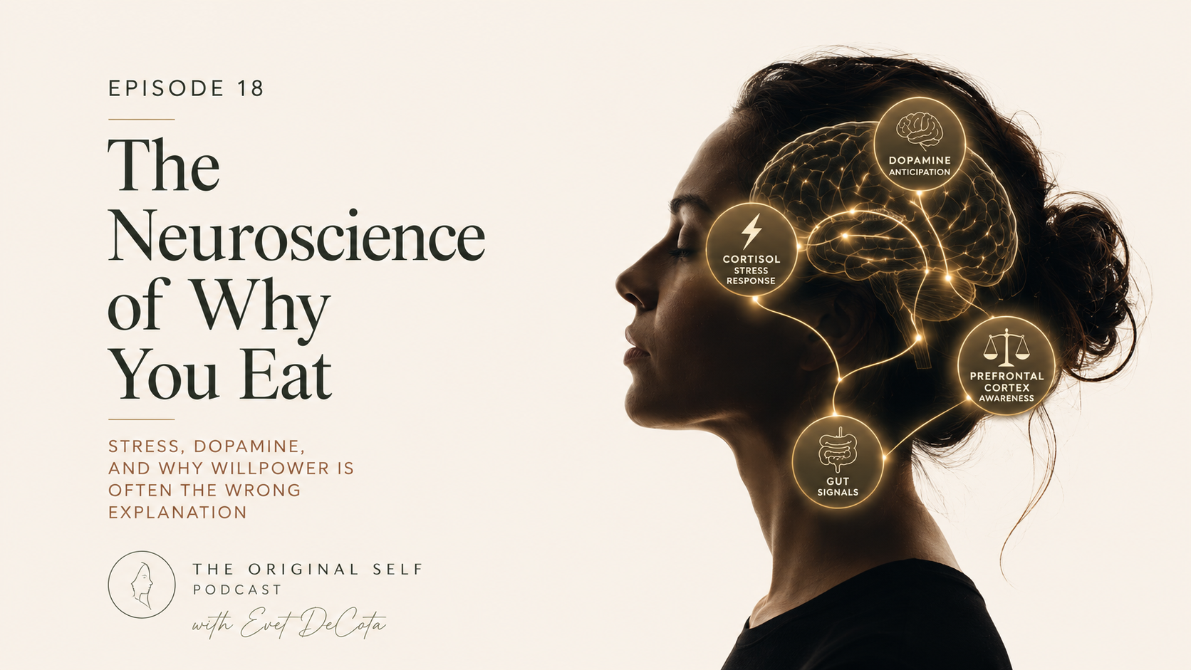 The Neuroscience of Why You Eat: Stress, Dopamine &amp; Why Willpower Is Often the Wrong Explanation