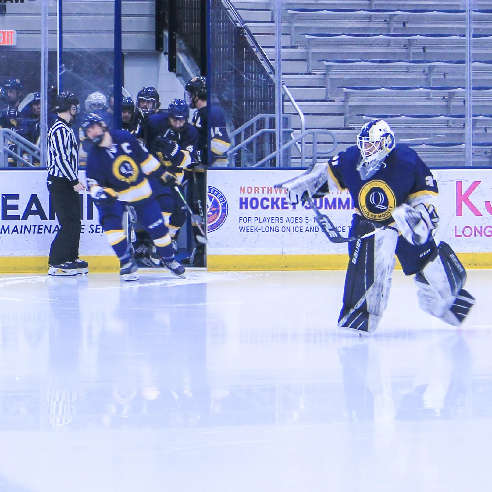 FSC D1 Ice Hockey