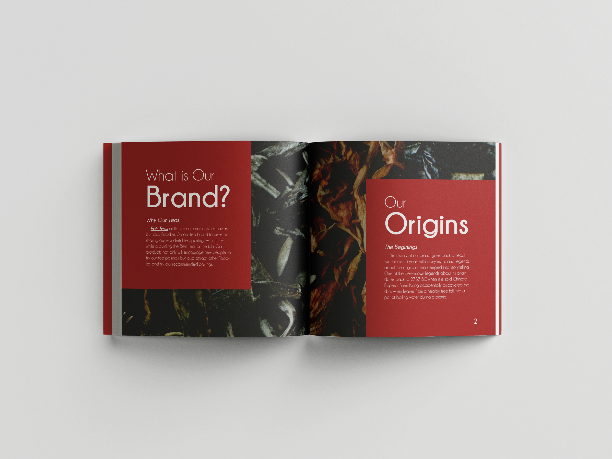 Free_Book_Mockup_7.png