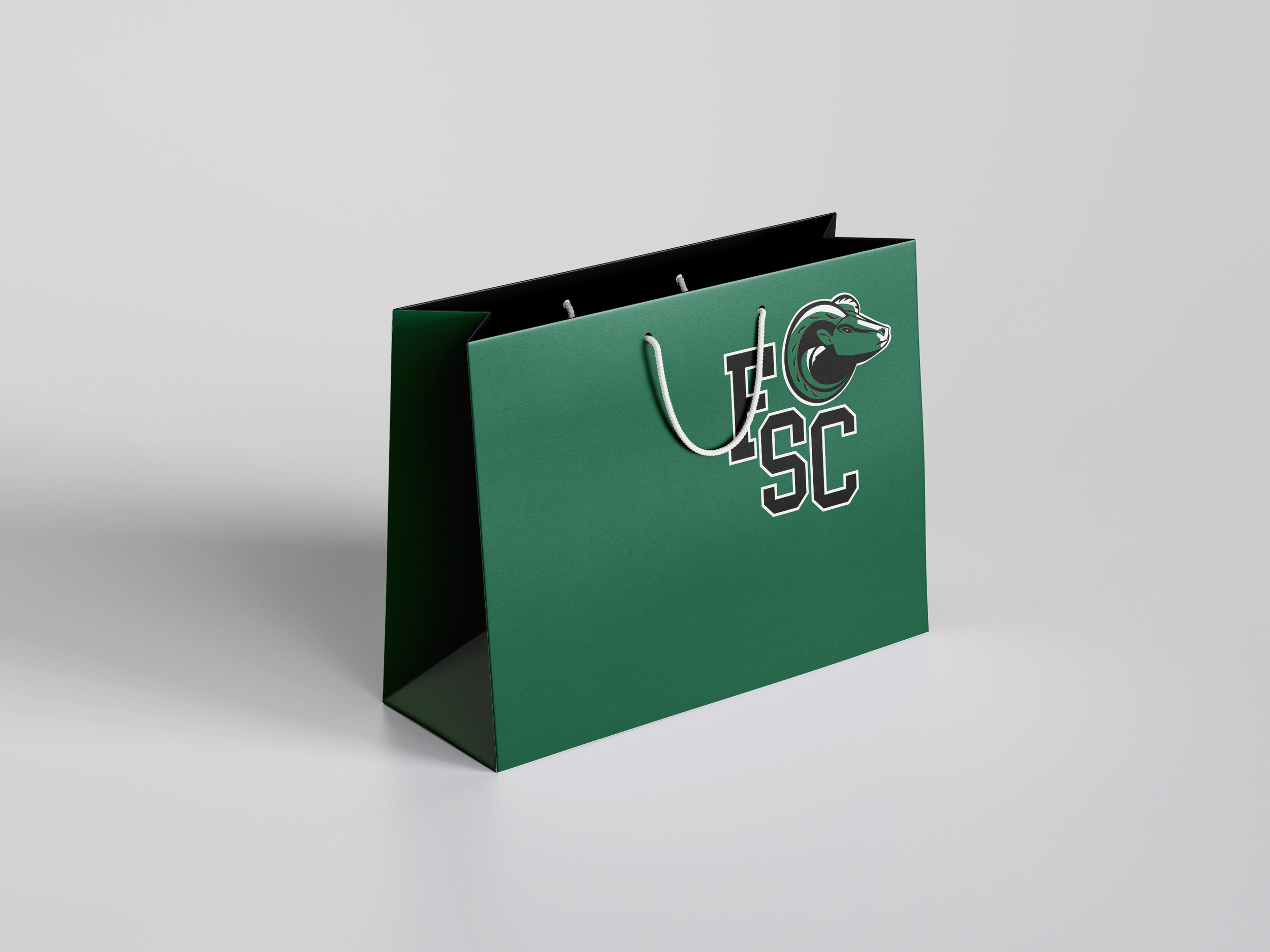 fsc merch 2.png