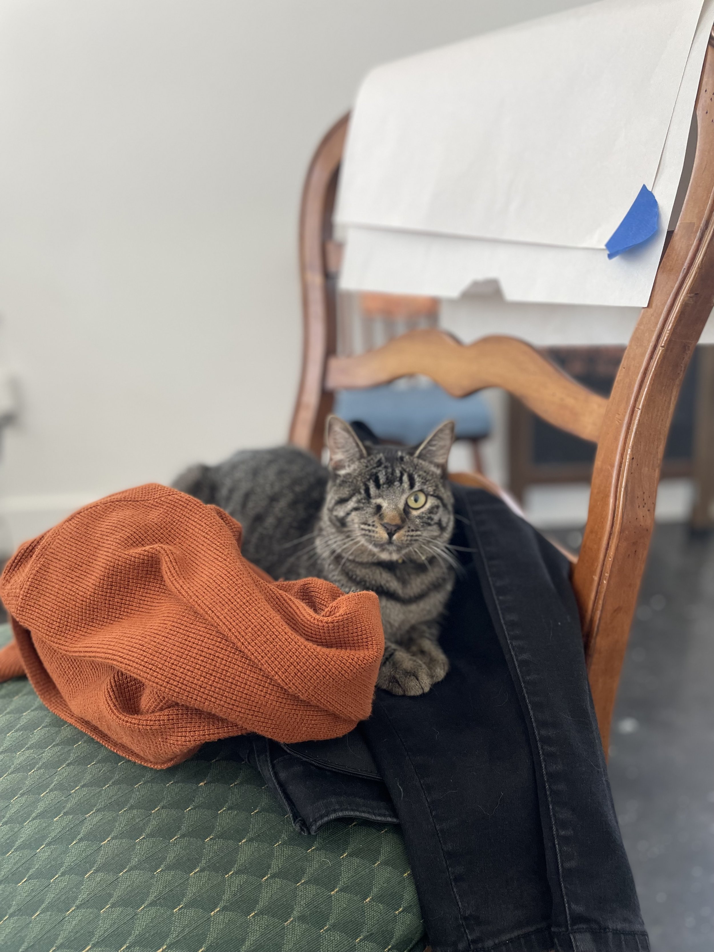 Zāl, resting in the Lamplight AVL residency studio. Asheville, June 2024. She is named after Zāl who was born different, abandoned as a result, but saved by the Simurgh