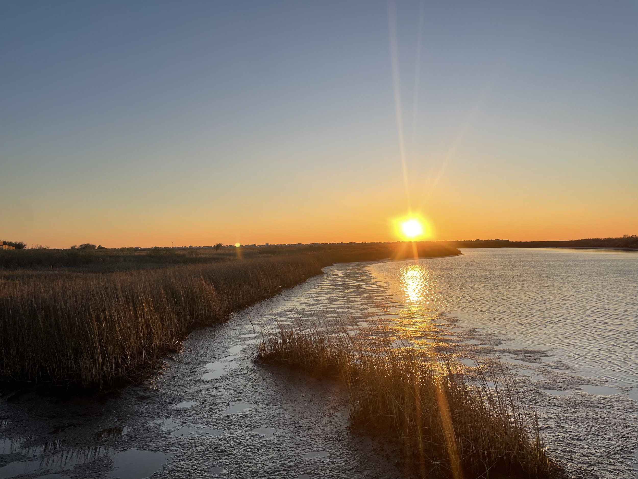 New Orleans Poetry Festival: Reflections on the Water: A Guided Ekphrastic Workshop in Response to Short Conservationist Film and Experimental Art Installations
