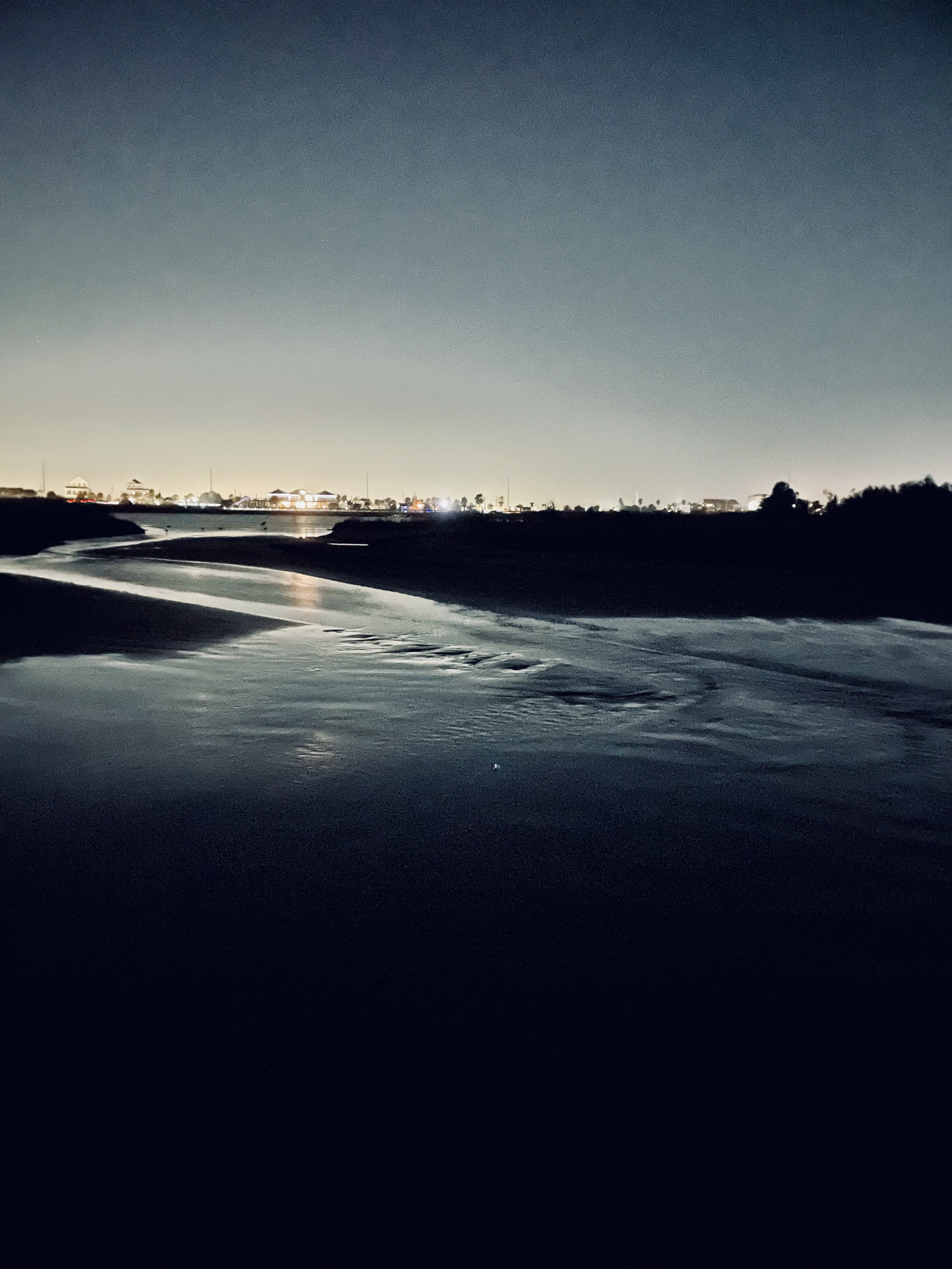 Tide Pool, Galveston, Texas
