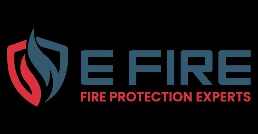 E Fire Logo2.jpg