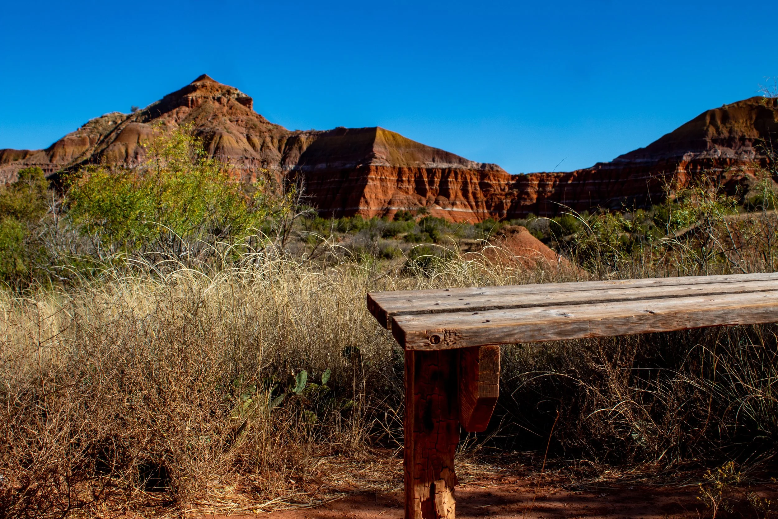 Edson, Julia-1488.JPG