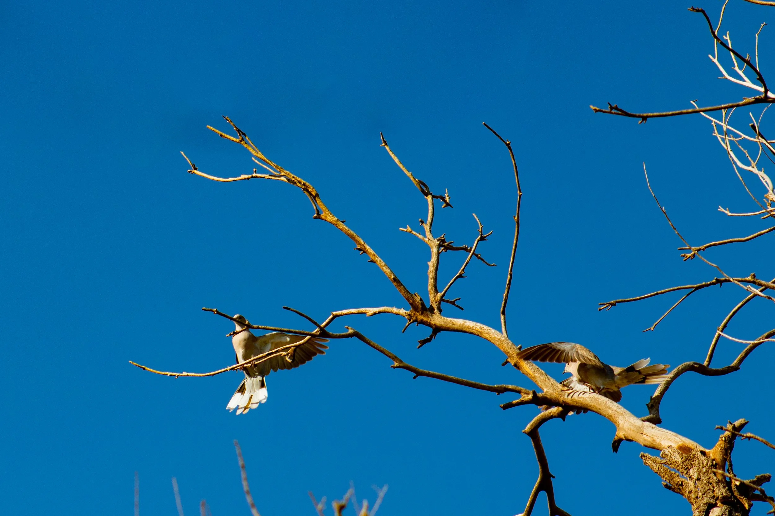 Edson, Julia-0845.JPG