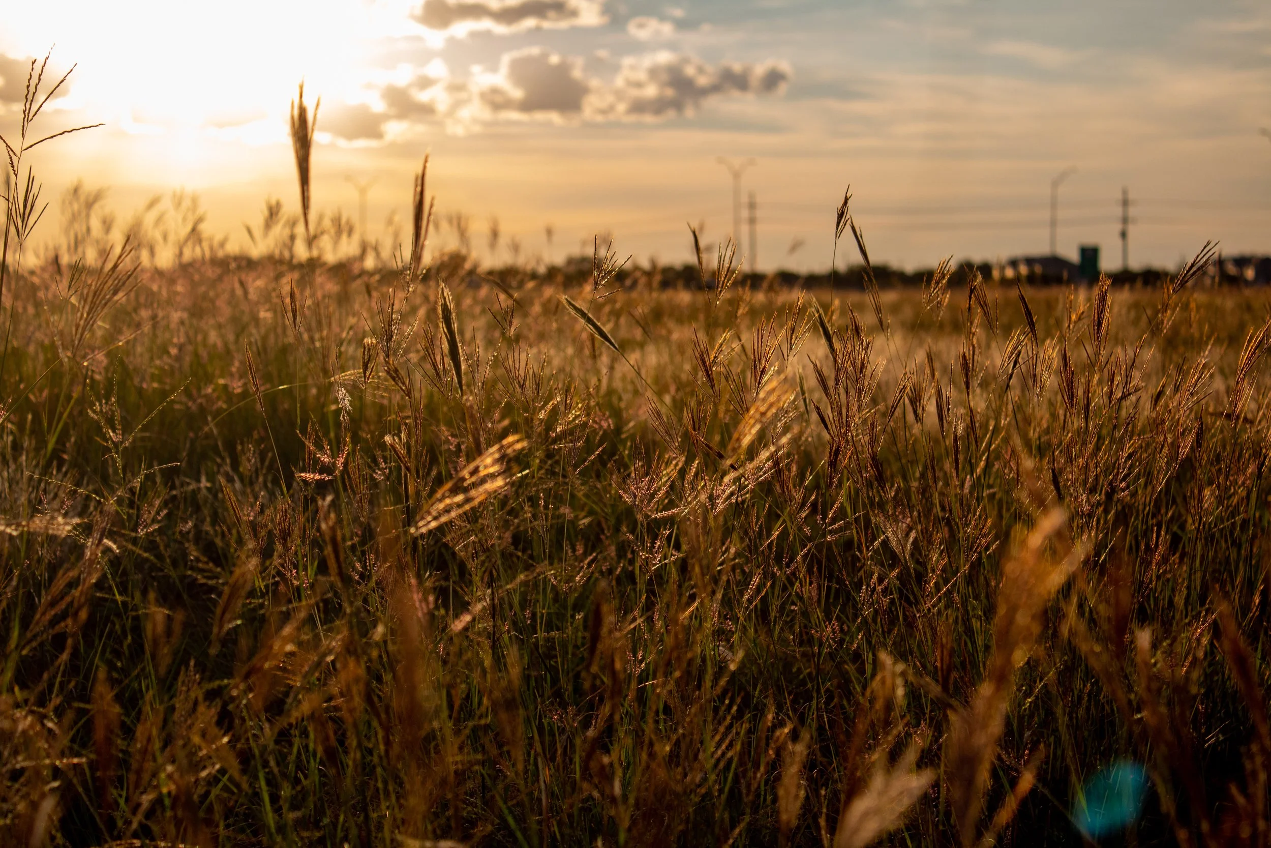 0_Edson, Julia-1162.JPG