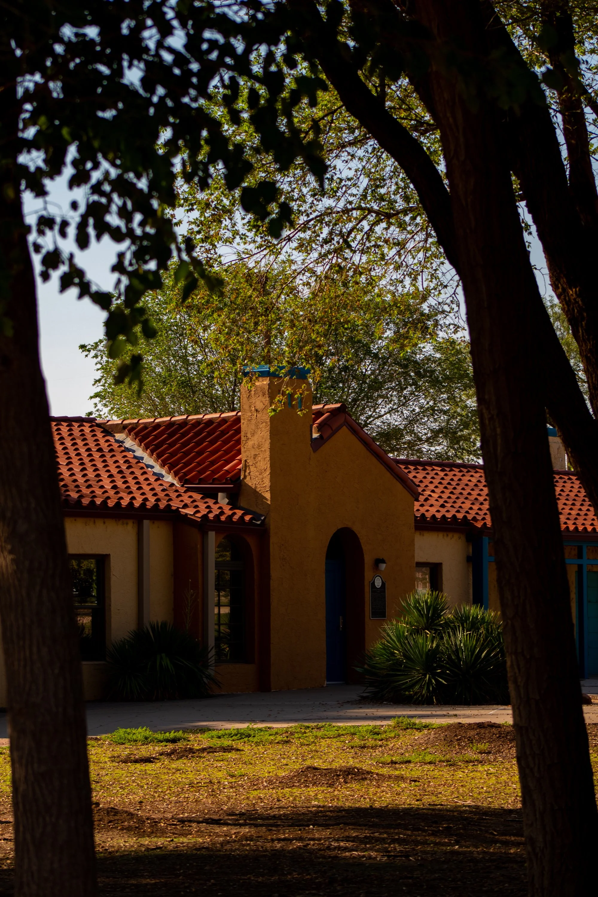 Edson, Julia-0854.JPG