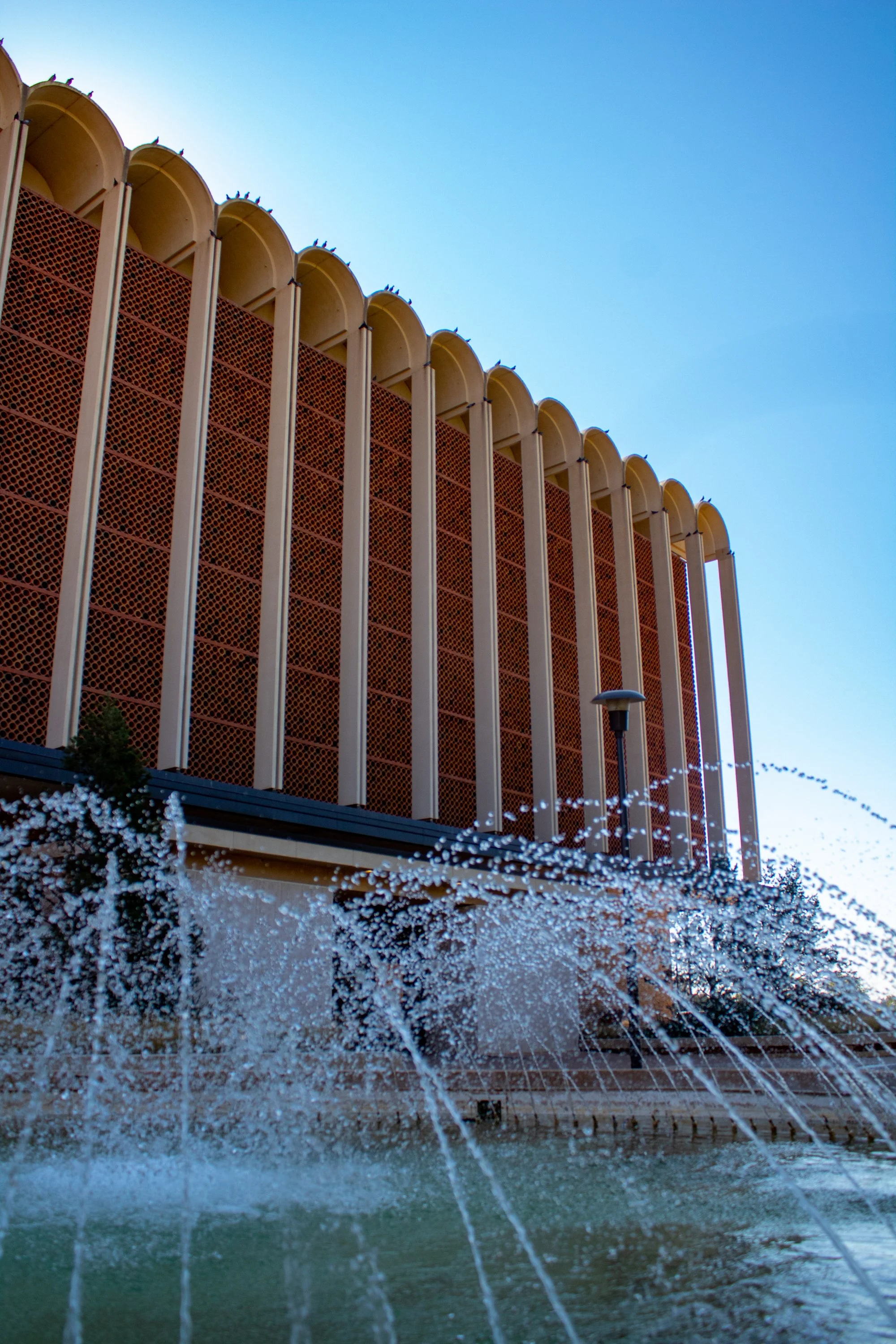 Edson, Julia-0955.JPG