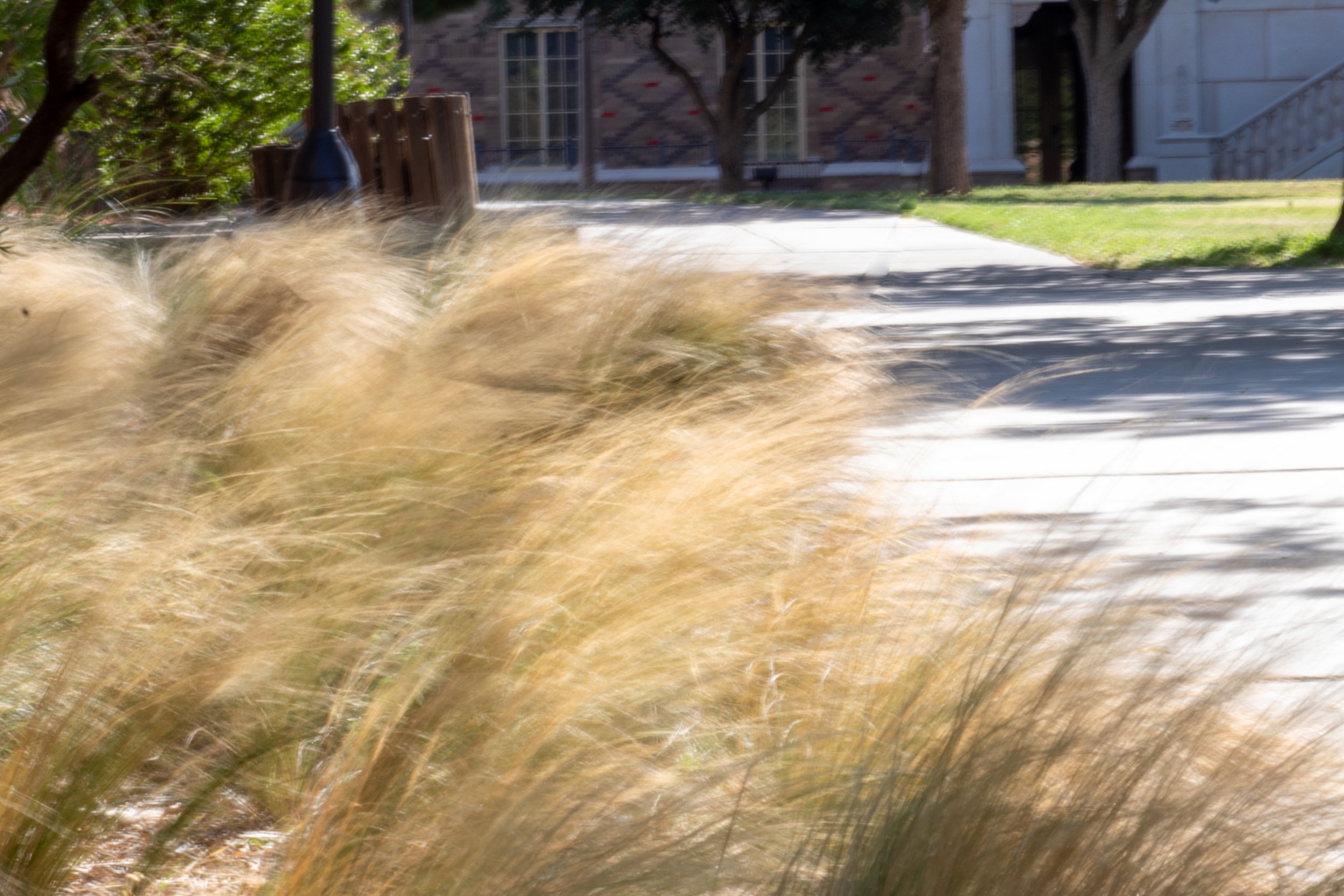 Edson, Julia-0926.JPG