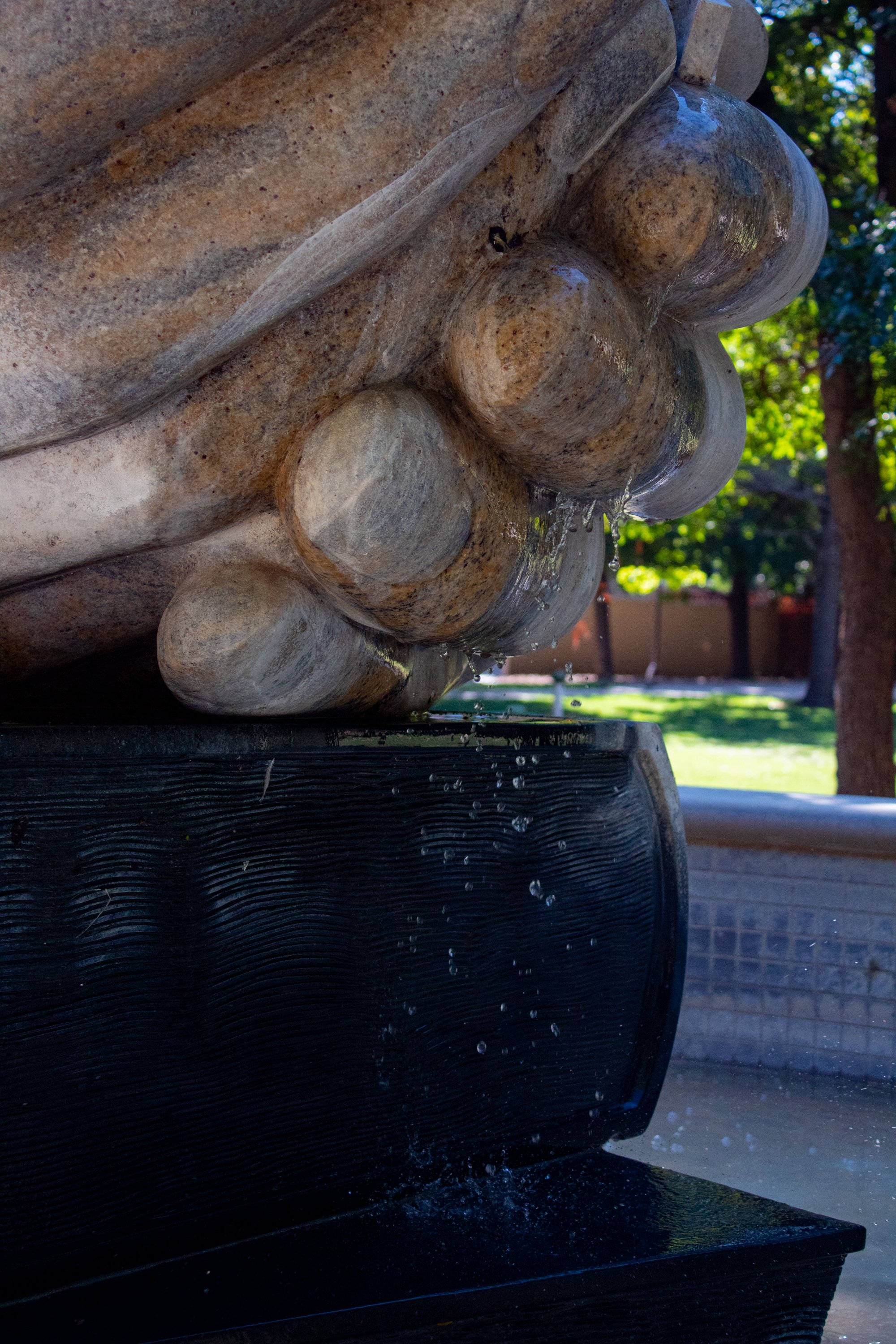 Edson, Julia-0940.JPG