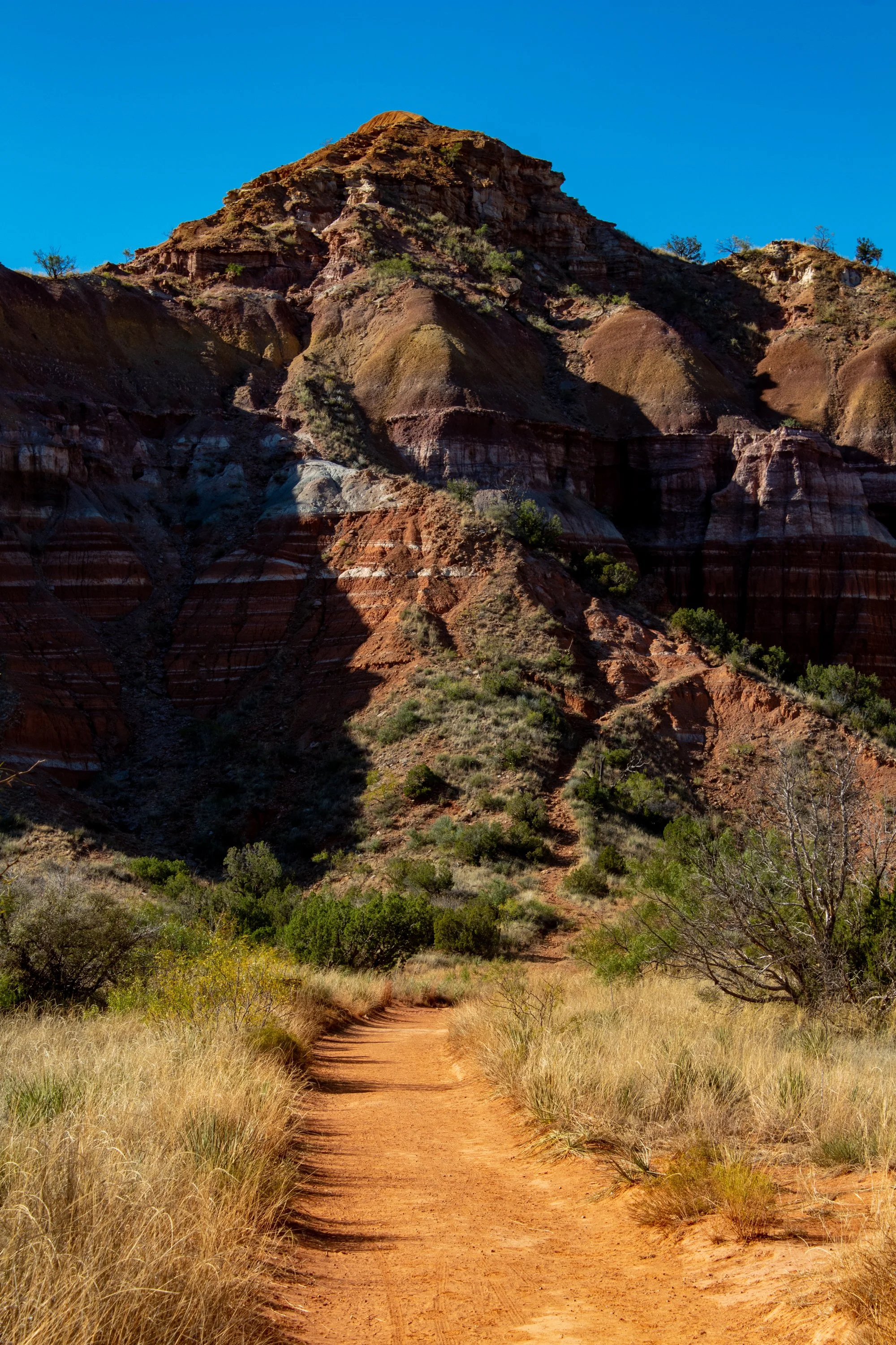 0_Edson, Julia-1435.JPG