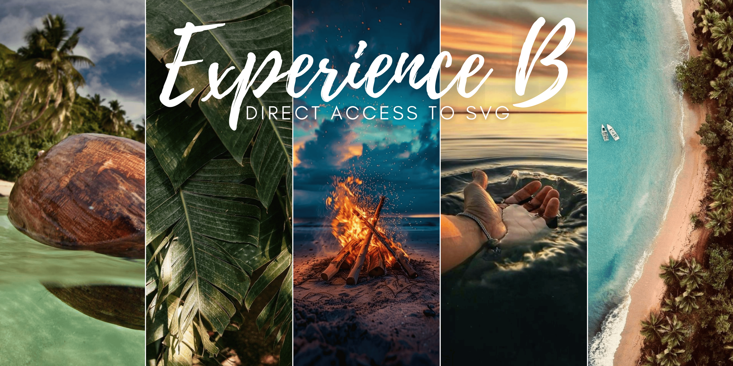 Experience B: Direct Access To SVG — PYPER YACHTS
