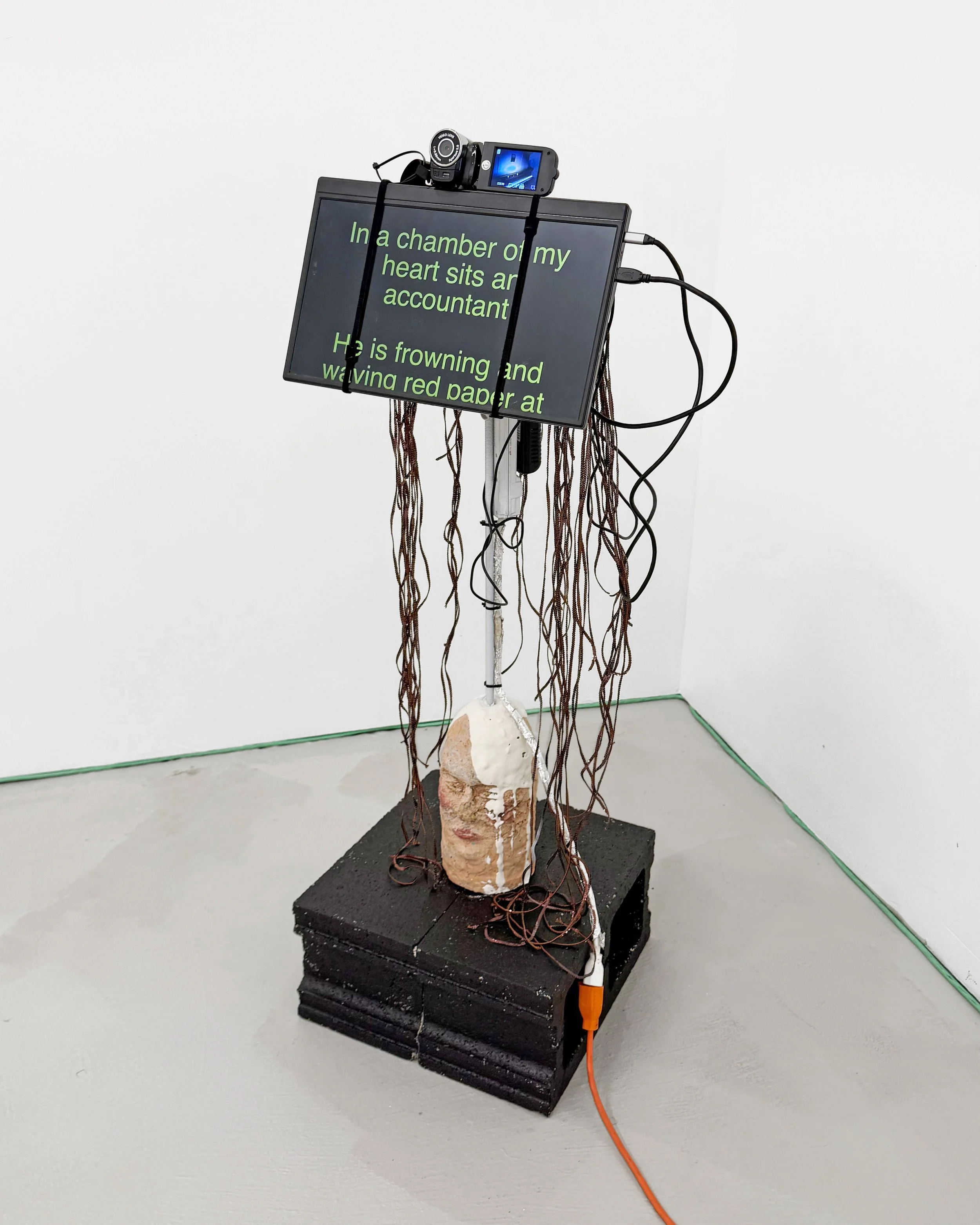 Teleprompter Detail.jpg
