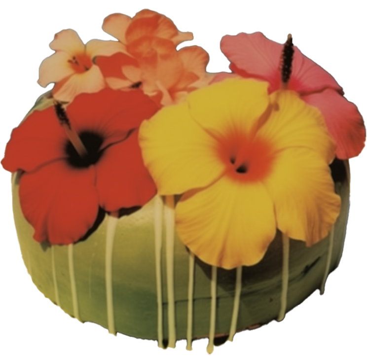 flowercake.png