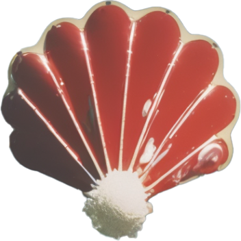 redandwhiteshell.png