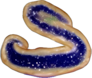 TheIslandsStickers024.png