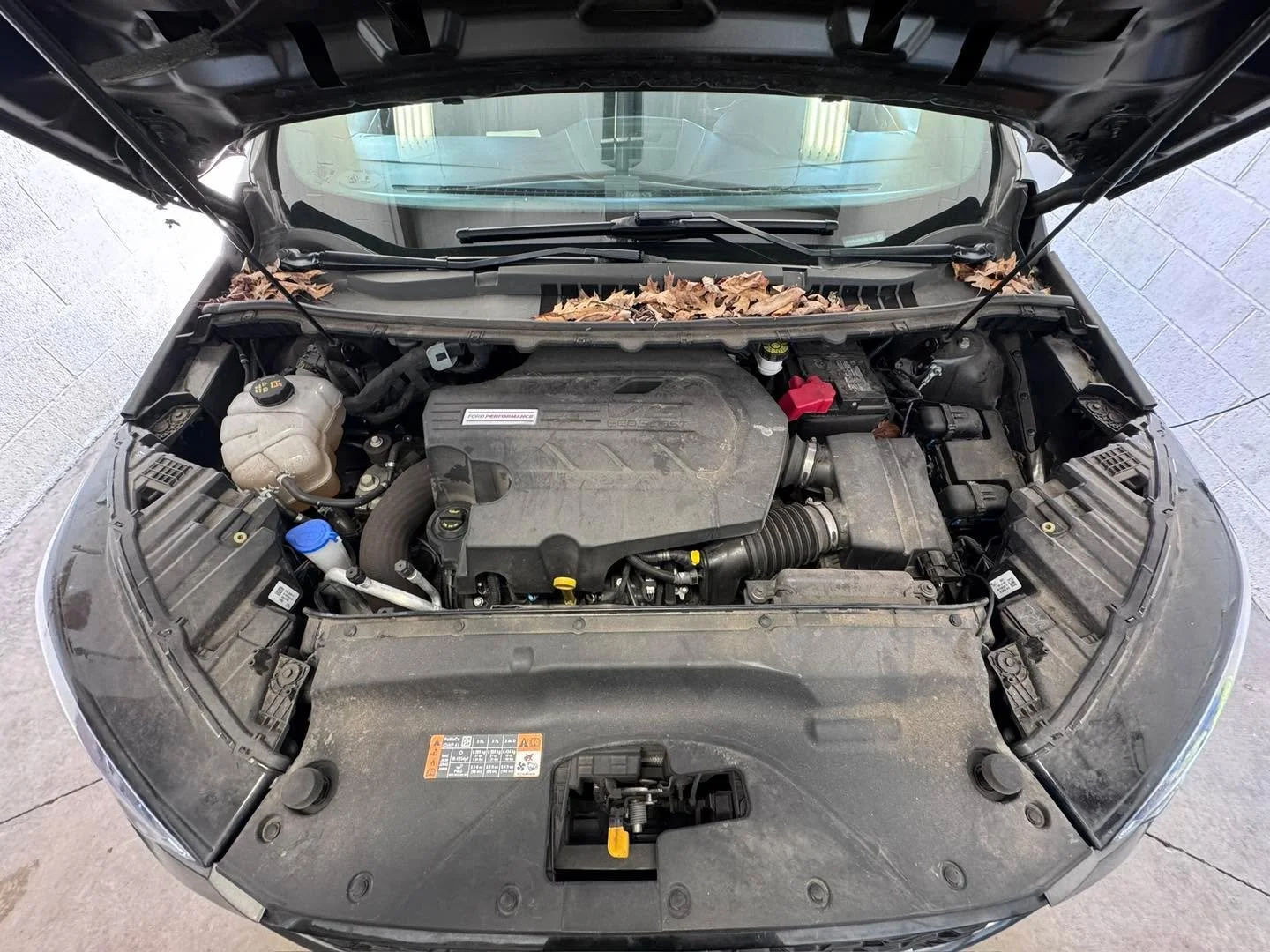 The engine bay on this 2020 Ford Edge ST got the attention it deserves today. 💪

Performance SUVs like the Ford Edge ST pack serious power, but that engine compartment collects dust, pollen, and grime faster than most owners realize. We carefully cl