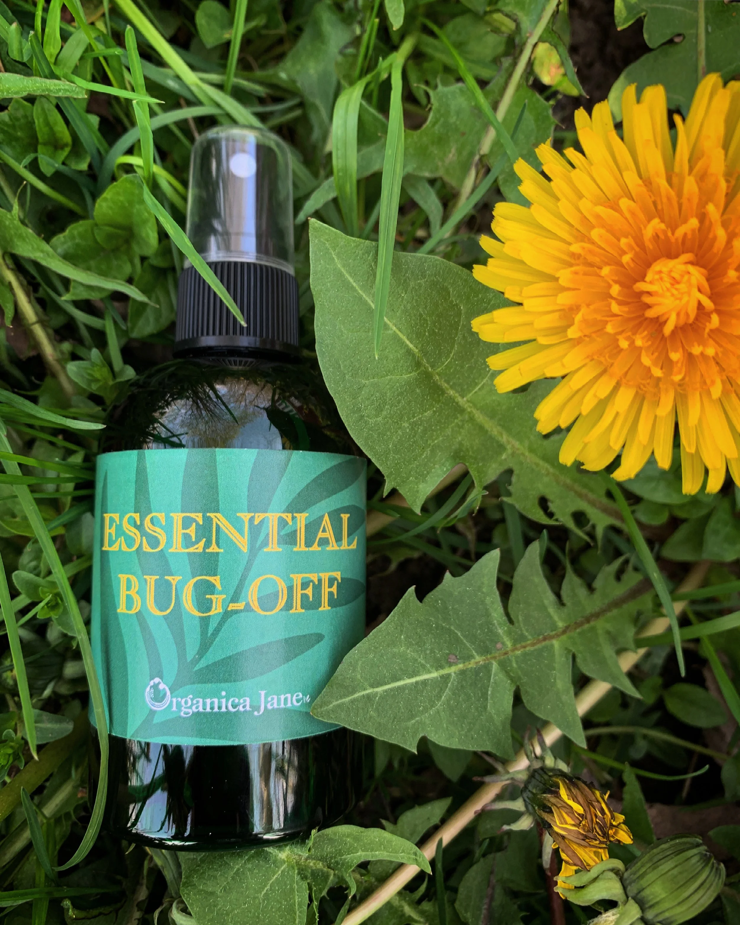 Organica Jane Bug Off.JPG