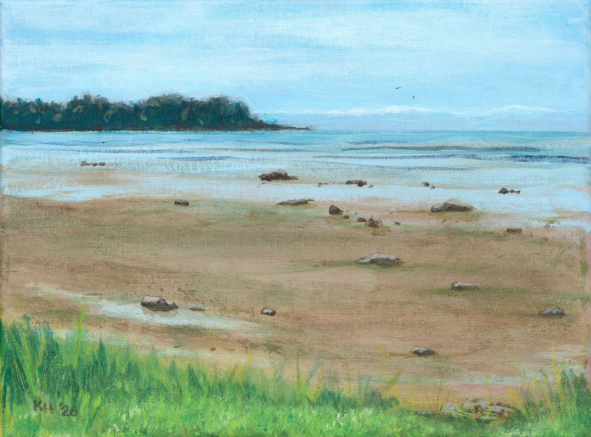 False Bay at Low Tide.jpg
