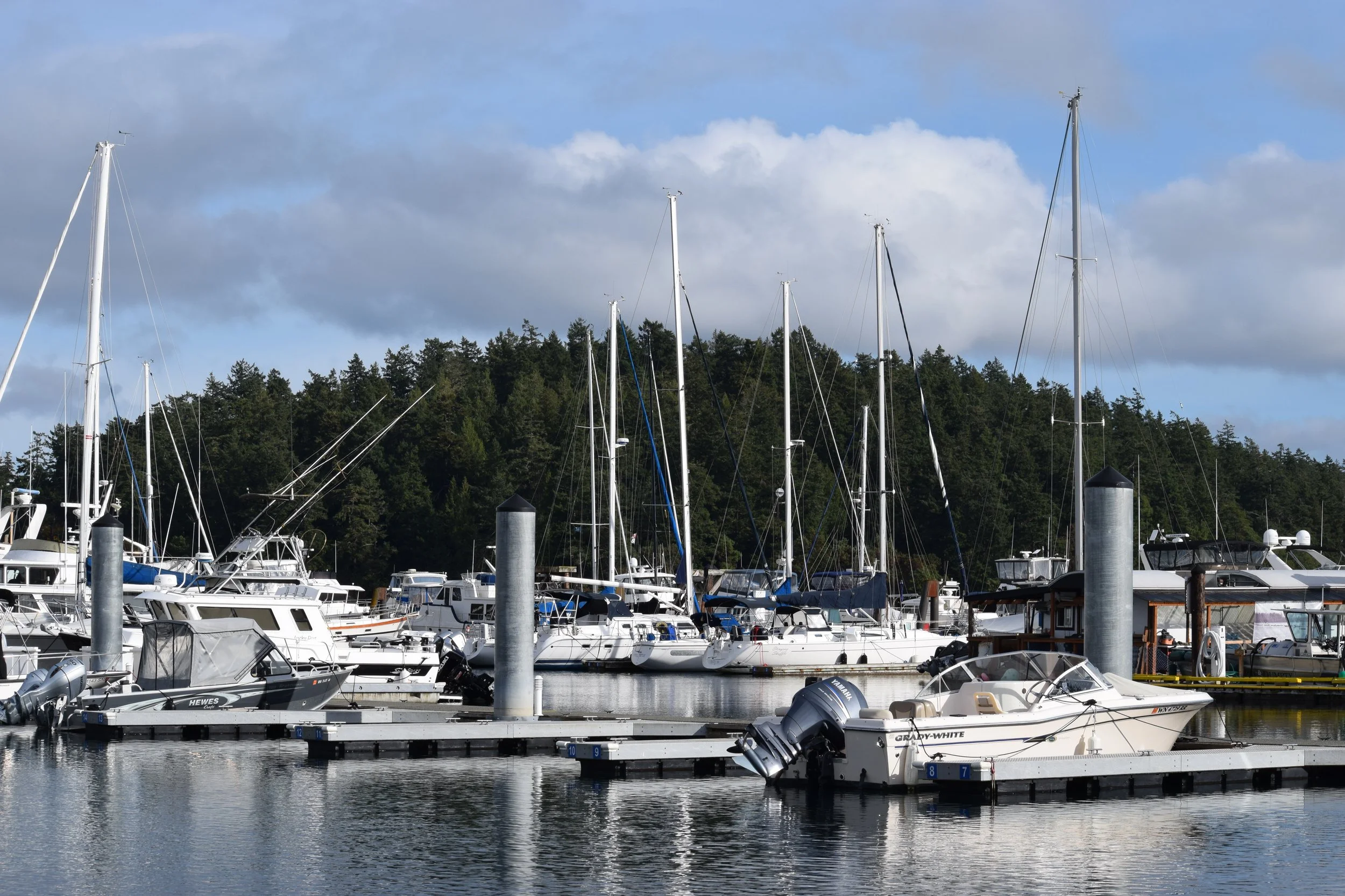 A variety of pleasure boats at dock in the Port of Friday Harbor, Washington on a clear autumn afternoon.