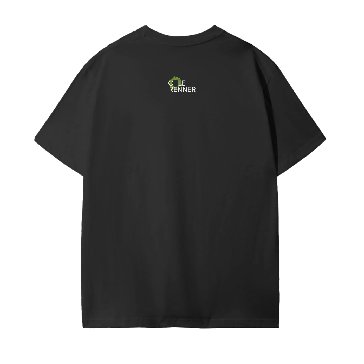 squarespace-upload-temp-2025-04-10-450c2d66-5079-47c8-958f-b88d31b9bcd61807967588488568150.png