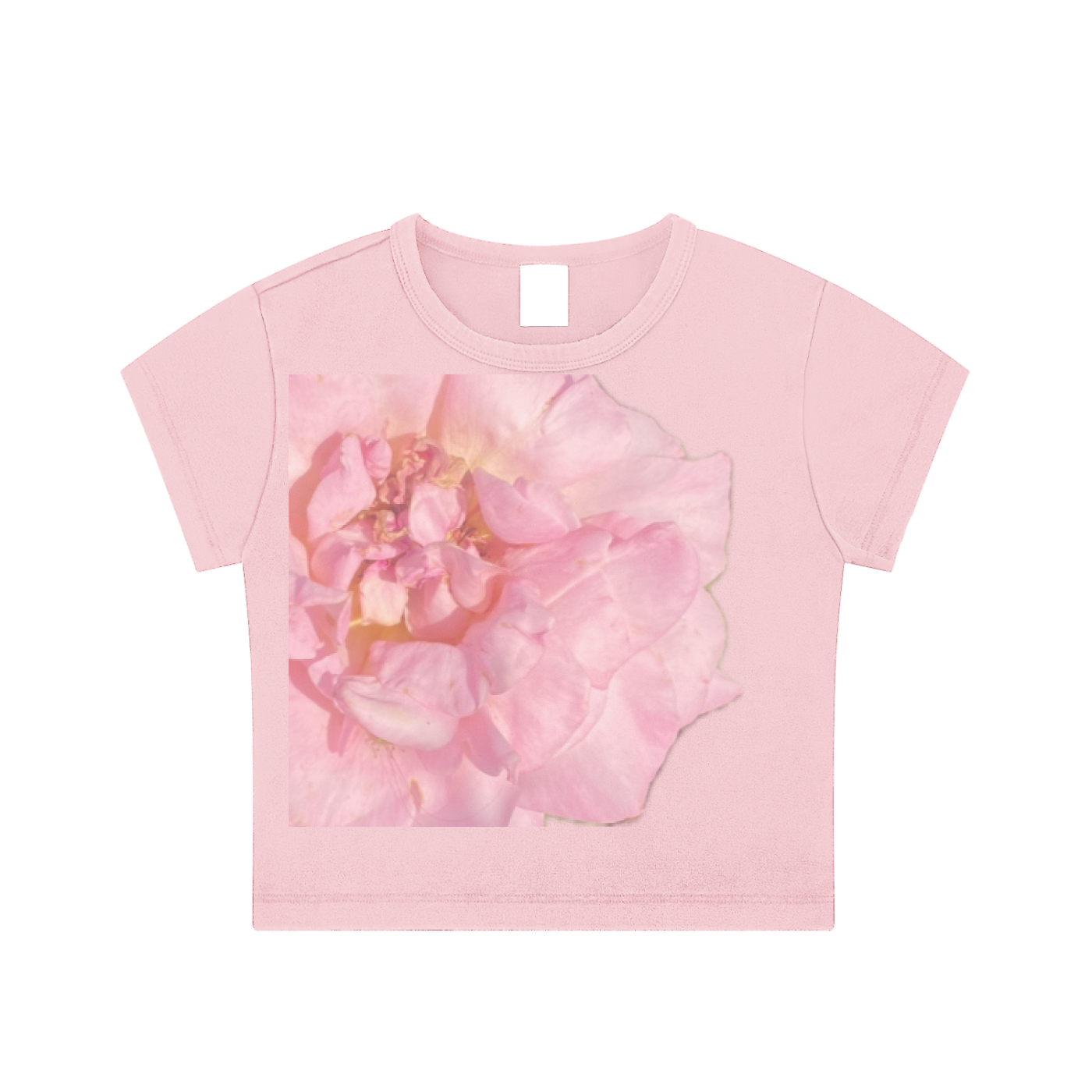 squarespace-upload-temp-2025-04-14-dcc295e4-2e62-4899-92eb-7205382e48c42431225192657988254.png