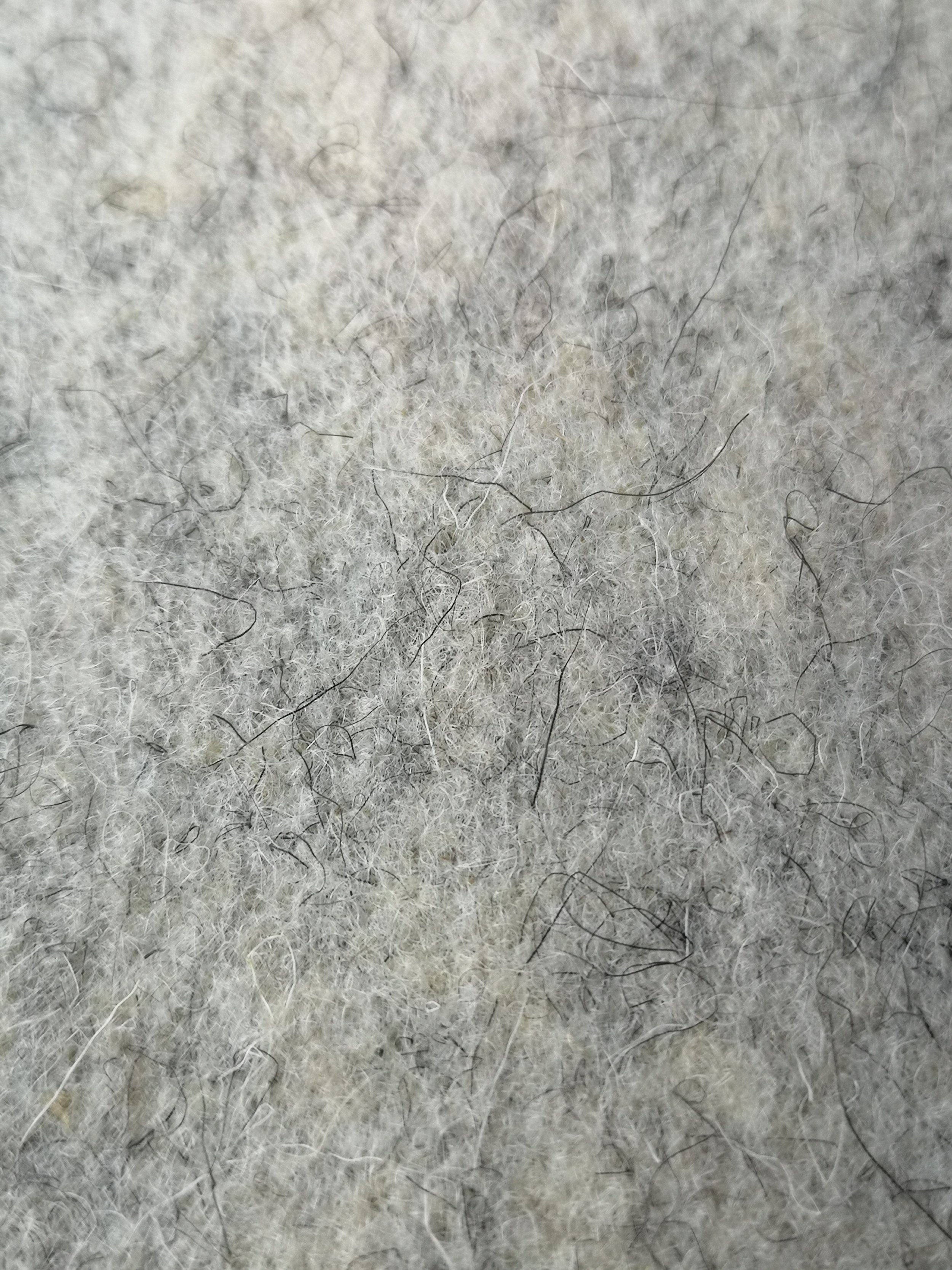 Felt Close Up 4.jpg