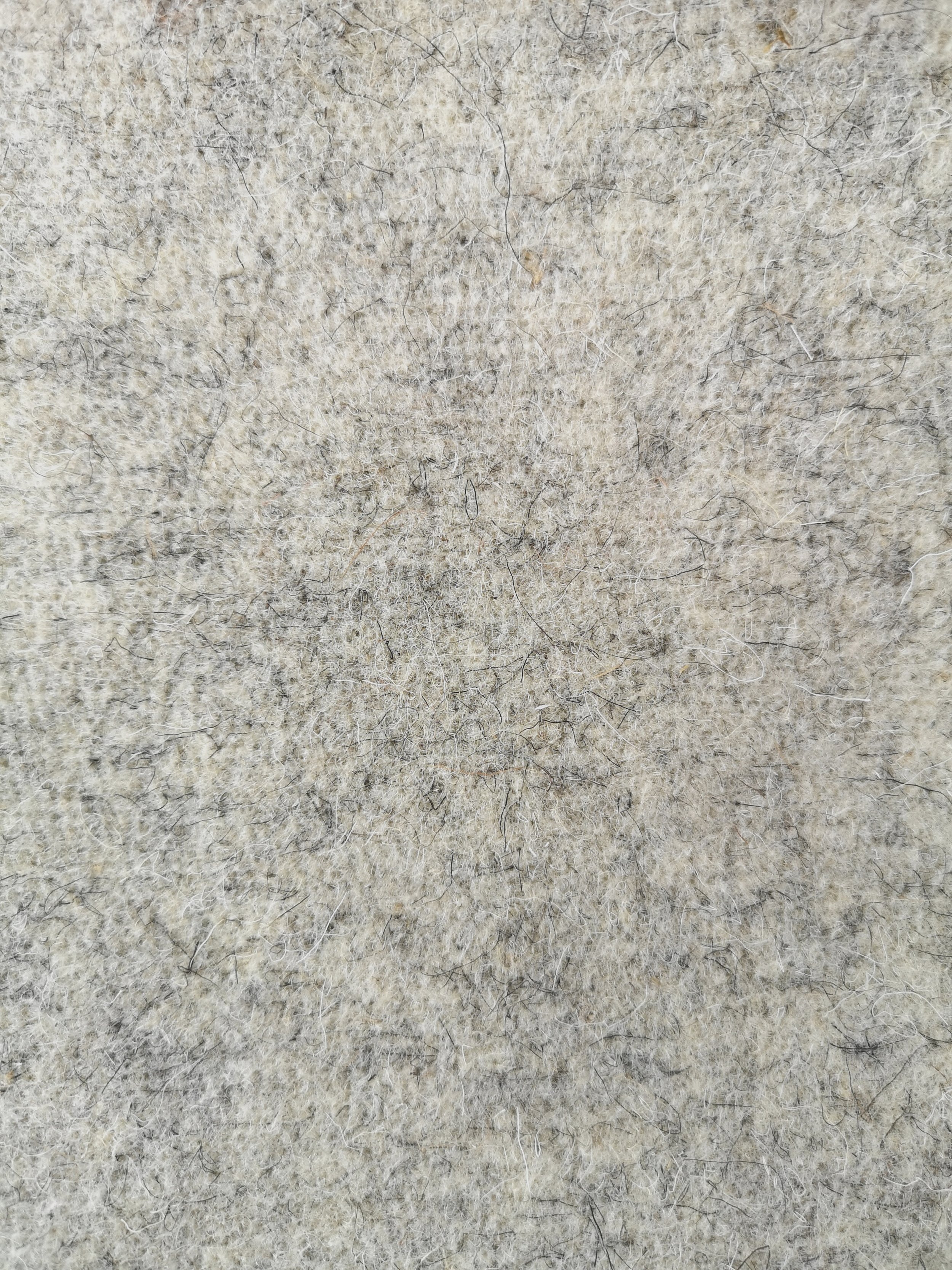WoolGrown Felt 6' wide x 3' long