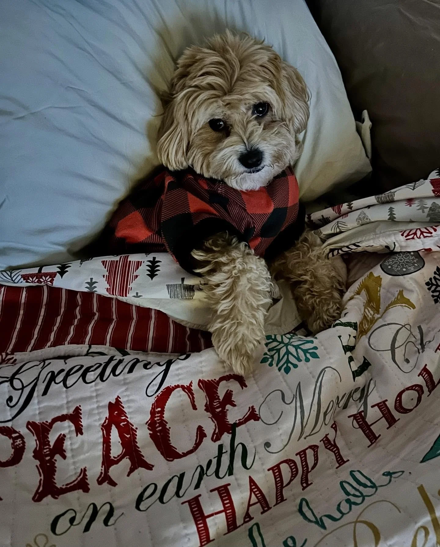 Relaxing after  my Spa day !