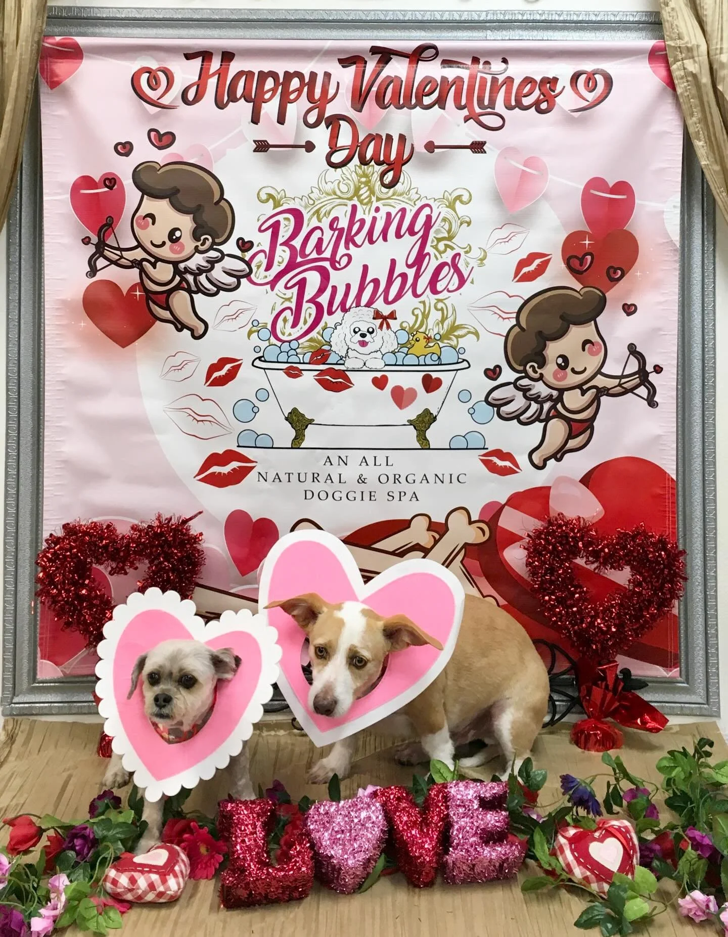 #dogspa # cityofdiamondbar #dogboutique #doggroominglife🐾✂️