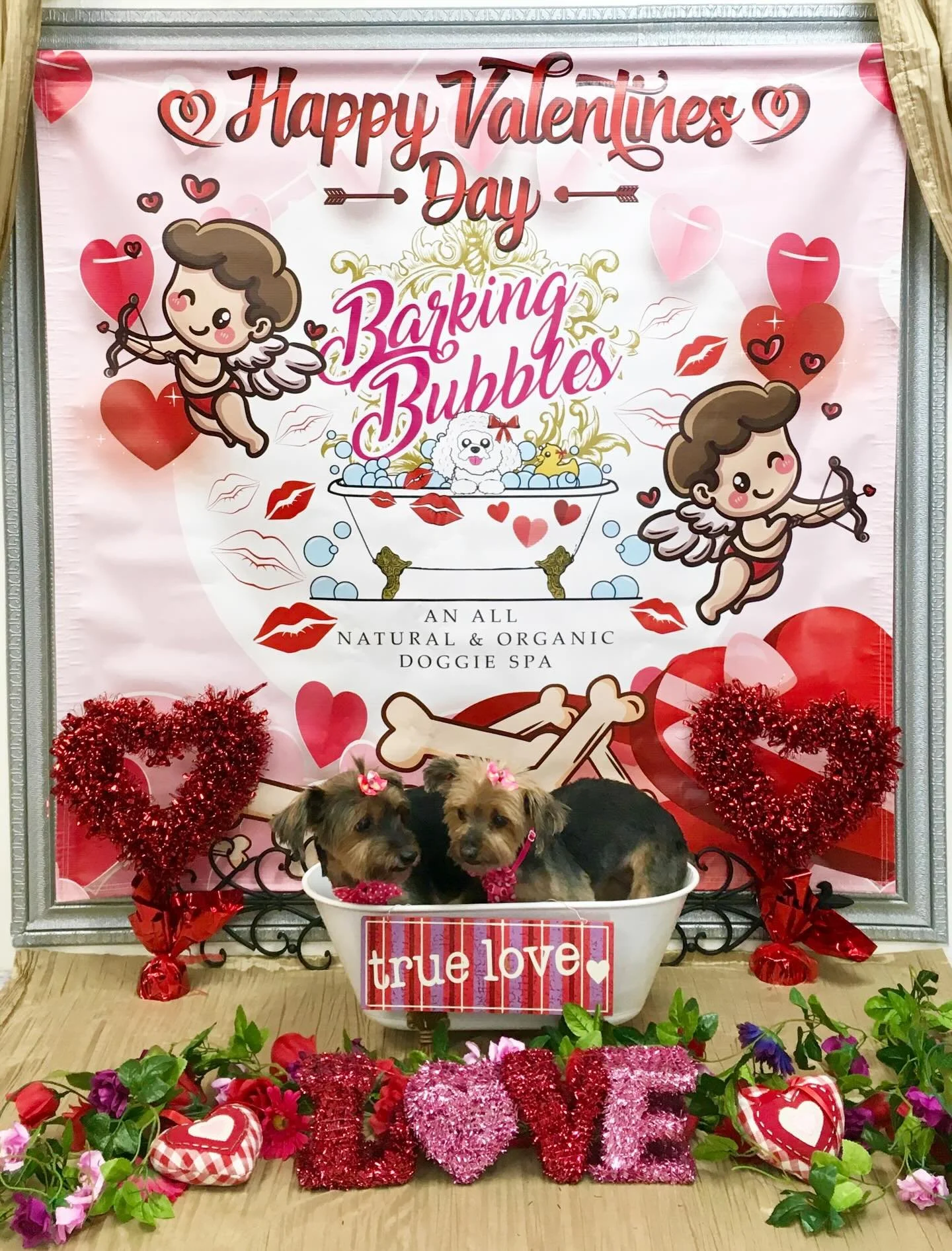 #dogspa #doggroomer #doggroominglife🐾✂️ #siblingspaday #cityofdiamondbar