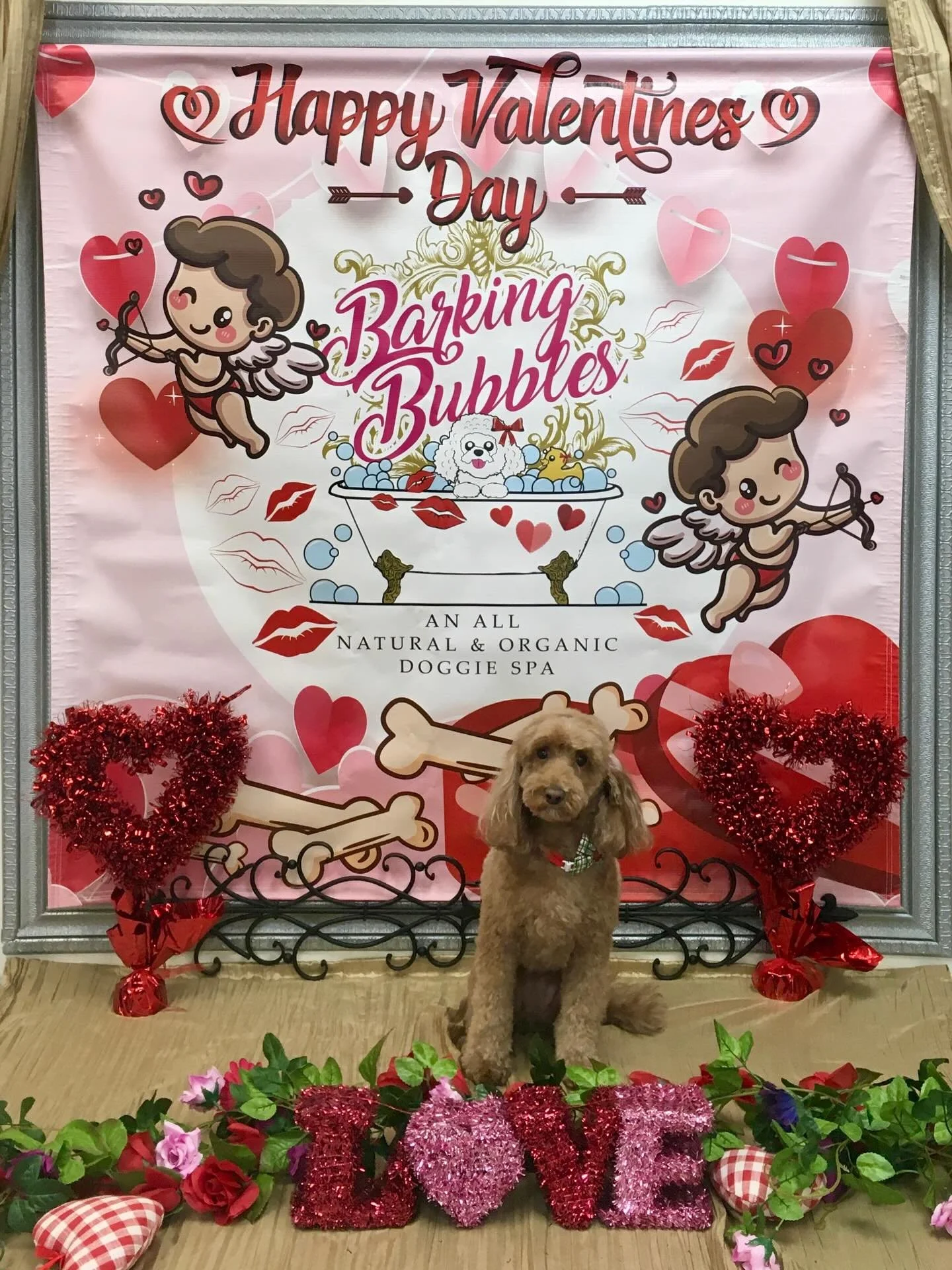 #dogspa #doggroomer #doggrooming #naturalandorganicproducts #valentineready❤️❤️