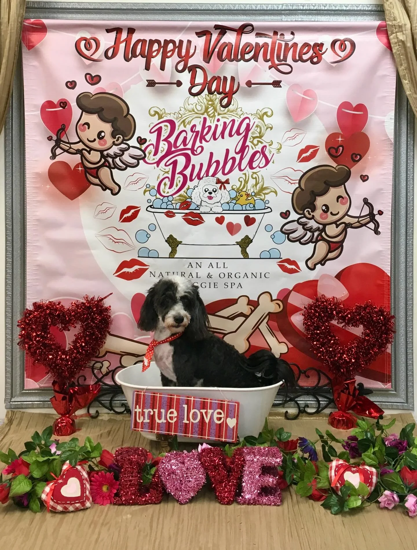 #naturalandorganicproducts #dogspa #doggroomer #doggrooming #cityofdiamondbar