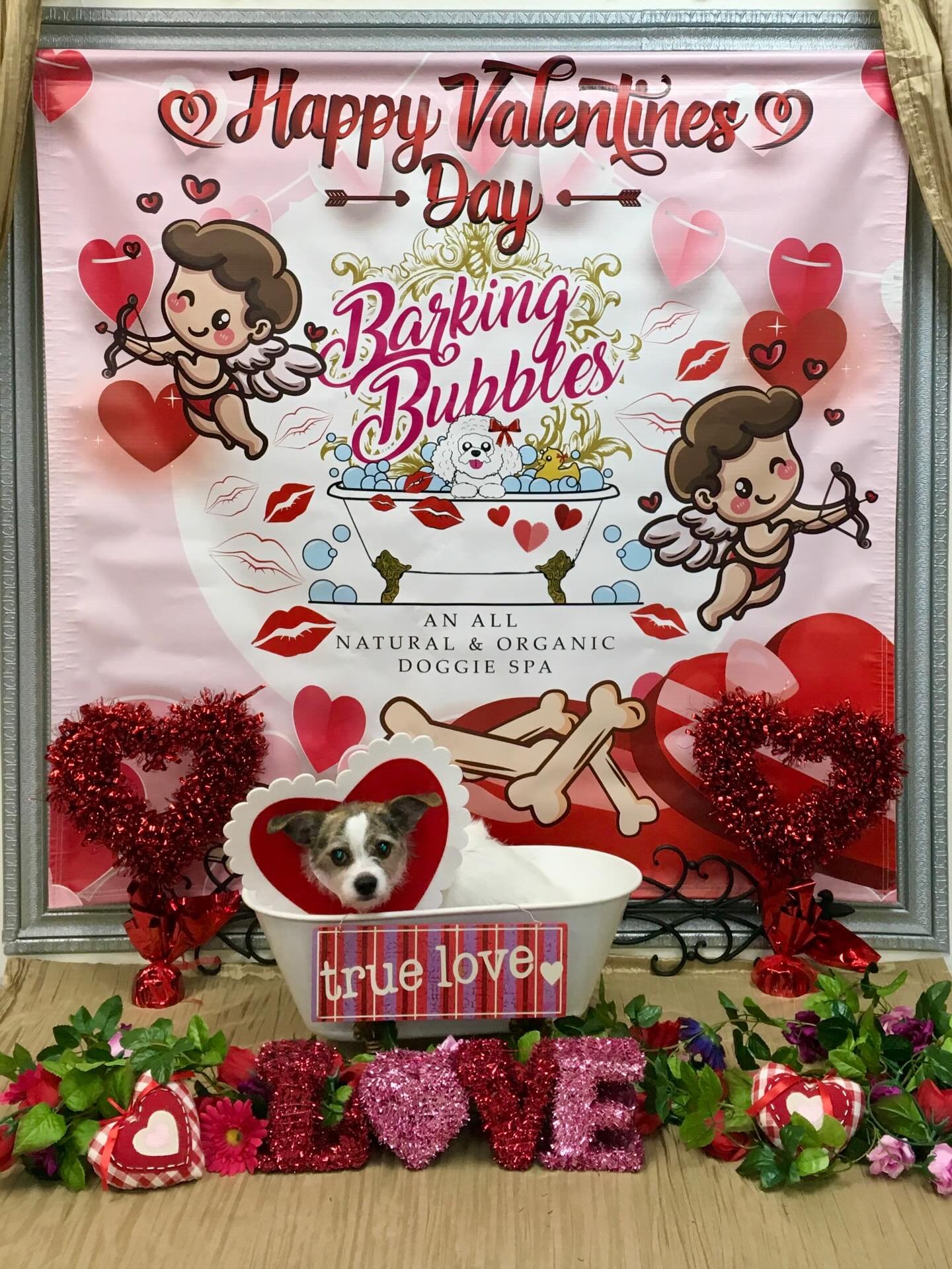 #valentineready❤️ #dogspa #doggrooming #doggroomer #naturalandorganic