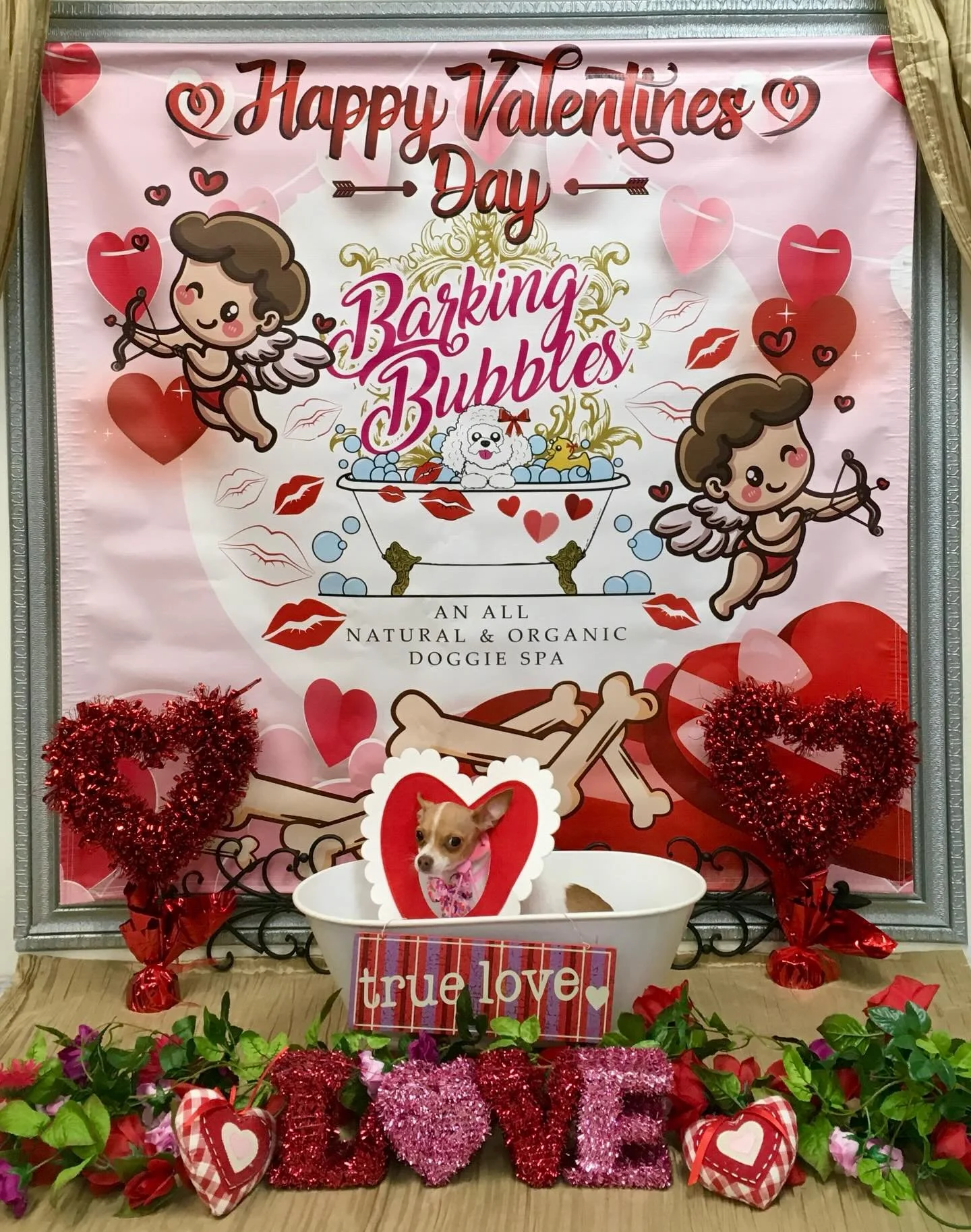 #dogspaday🐶🛁✂️❤❤ #naturalandorganicproducts #aromatherapy #doggrooming