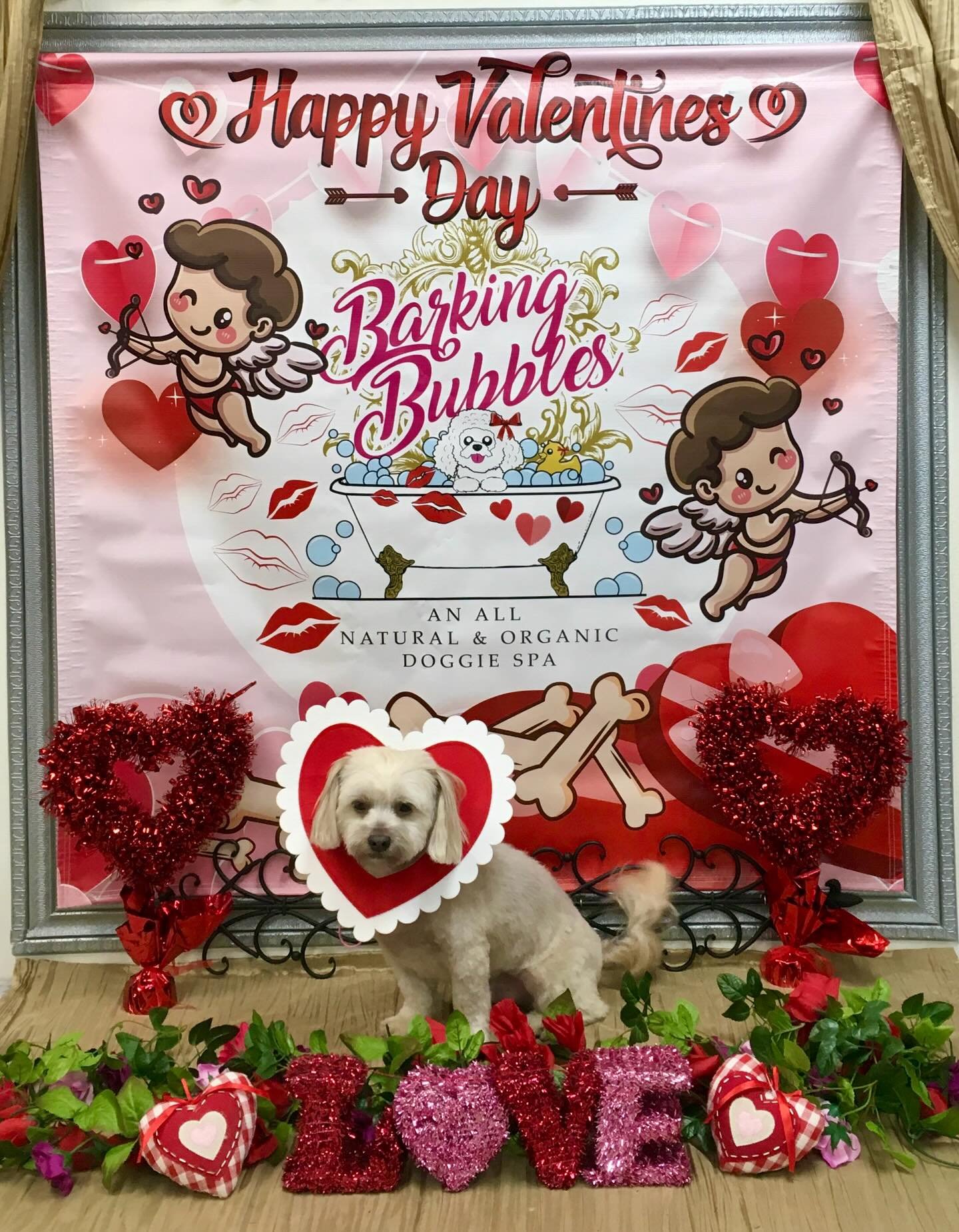 #dogspa #doggroomer #valentineready❤️ #naturalandorganicproducts #dogboutique