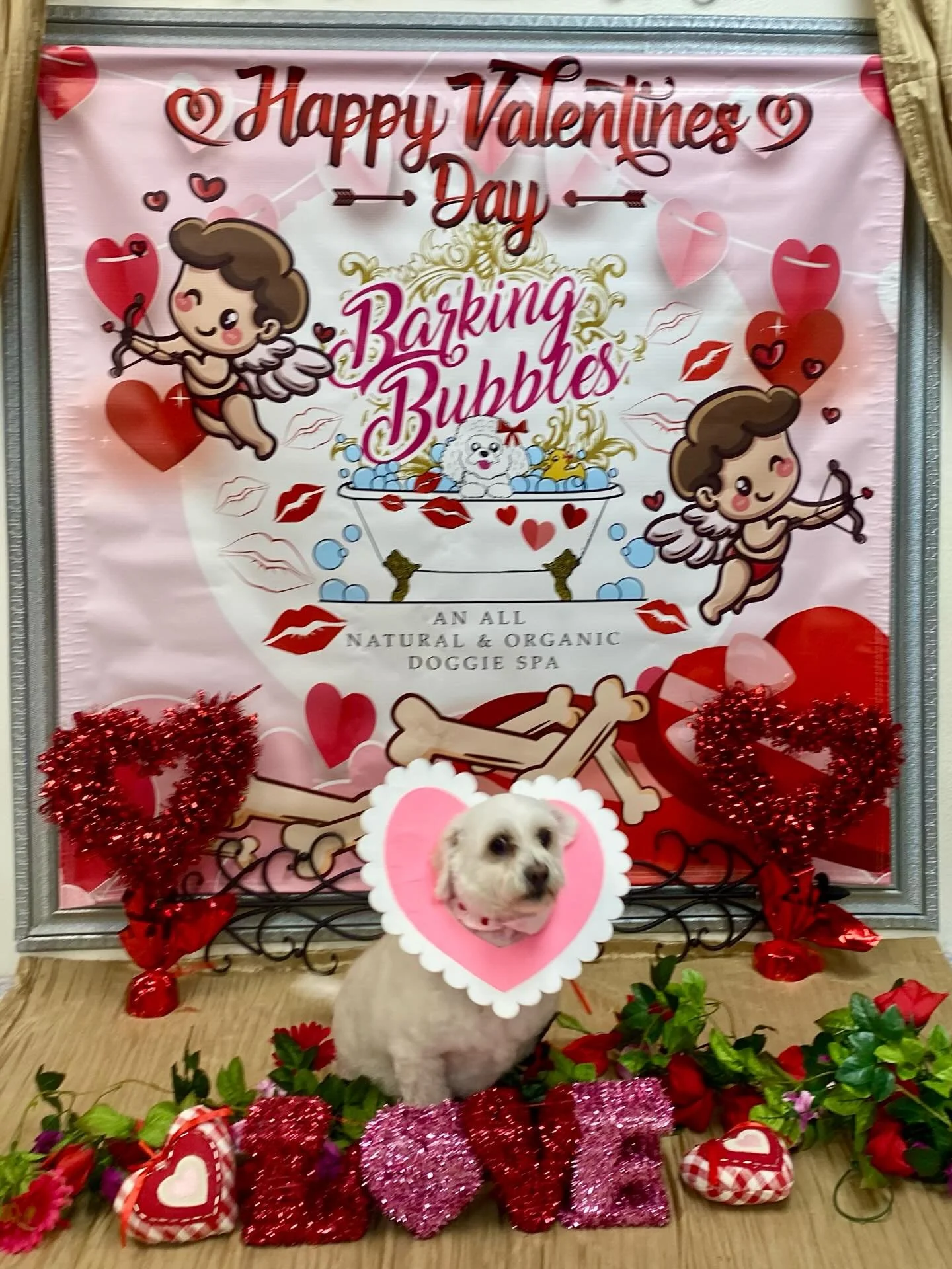 #dogspa #doggrooming #naturalandorganicproducts #dogboutique #valentineready❤️❤️