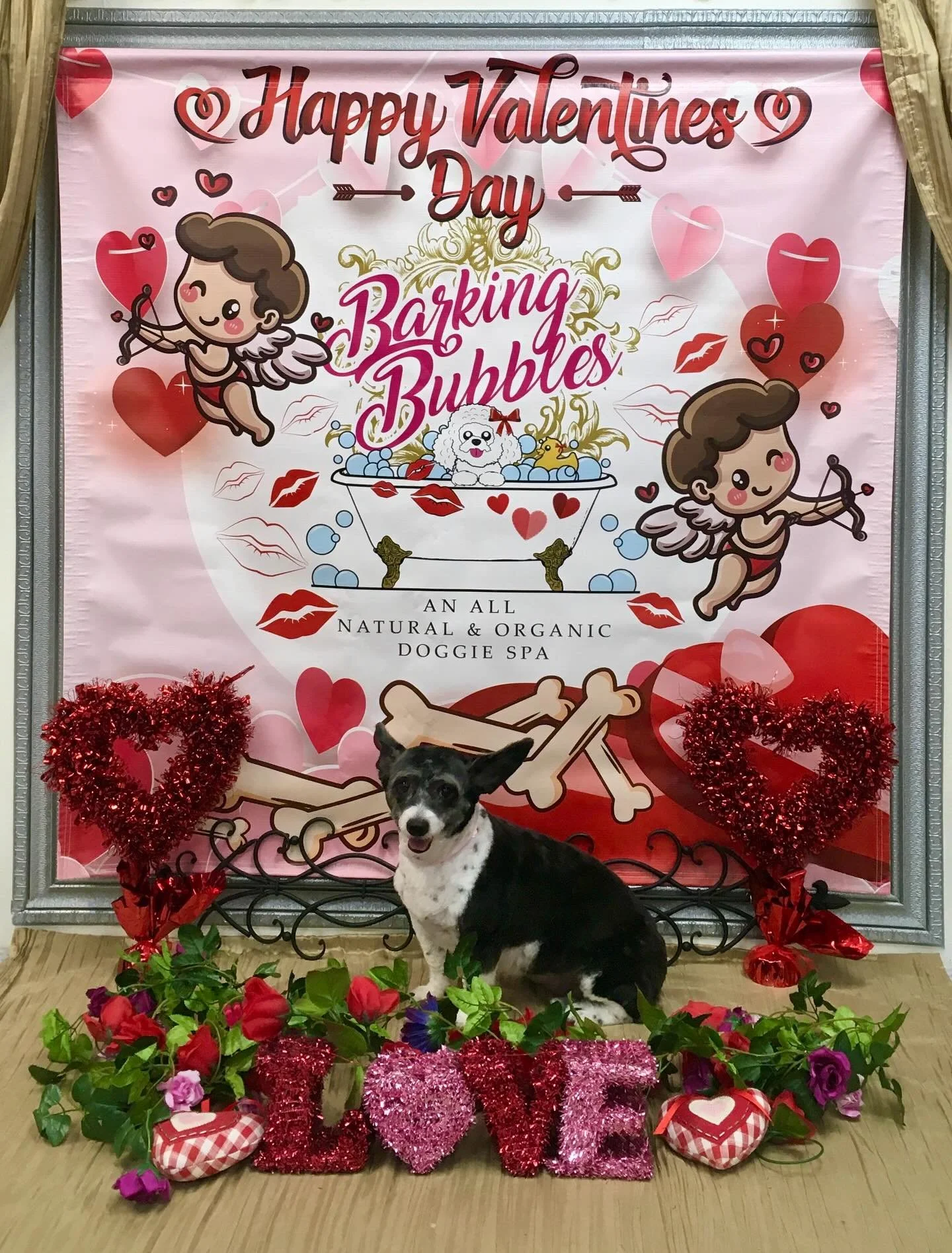 #dogspa #doggrooming #naturalandorganicproducts #valentineready❤️❤️