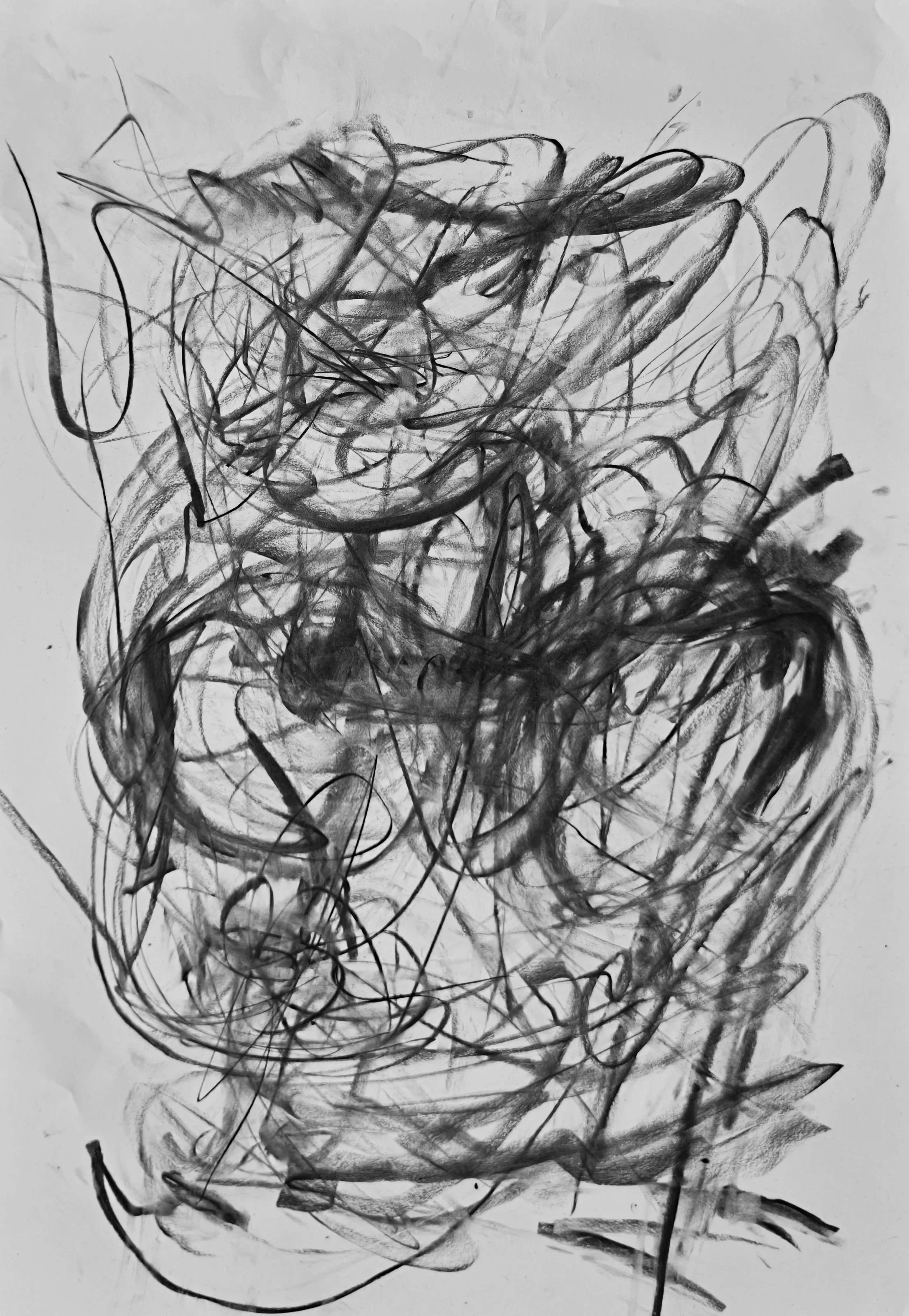 IMG20260411130918_01.jpg