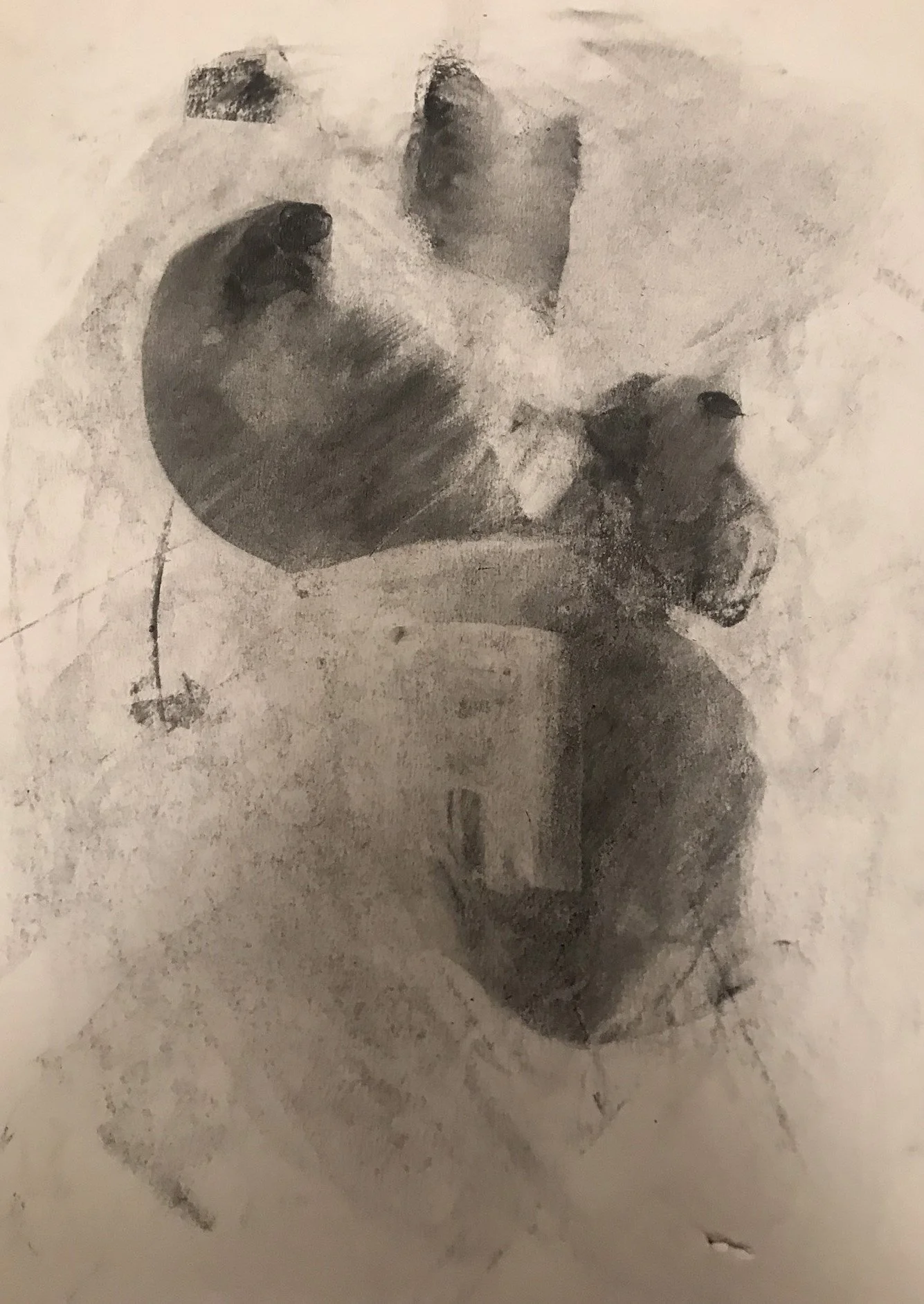 Copy of IMG_3386.jpeg