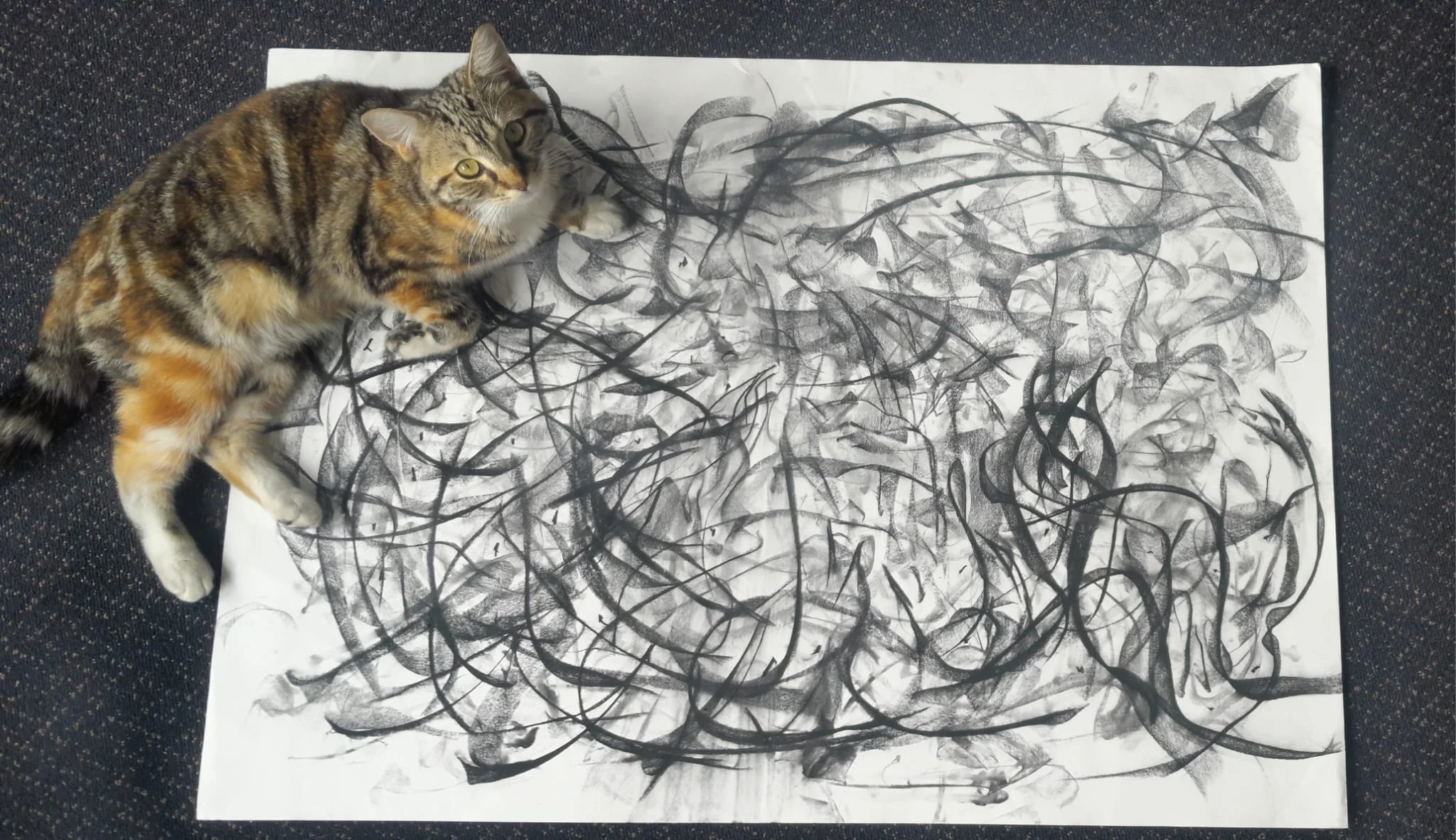 WhatsApp Image 2026-01-24 at 2.33.10 PM.jpeg