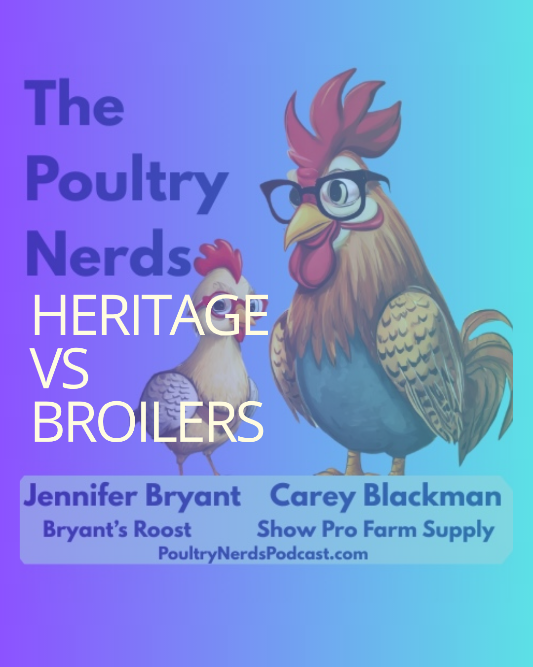 Heritage Chickens, Modern Broilers, and the Lost Middle Ground of Poultry Flavor