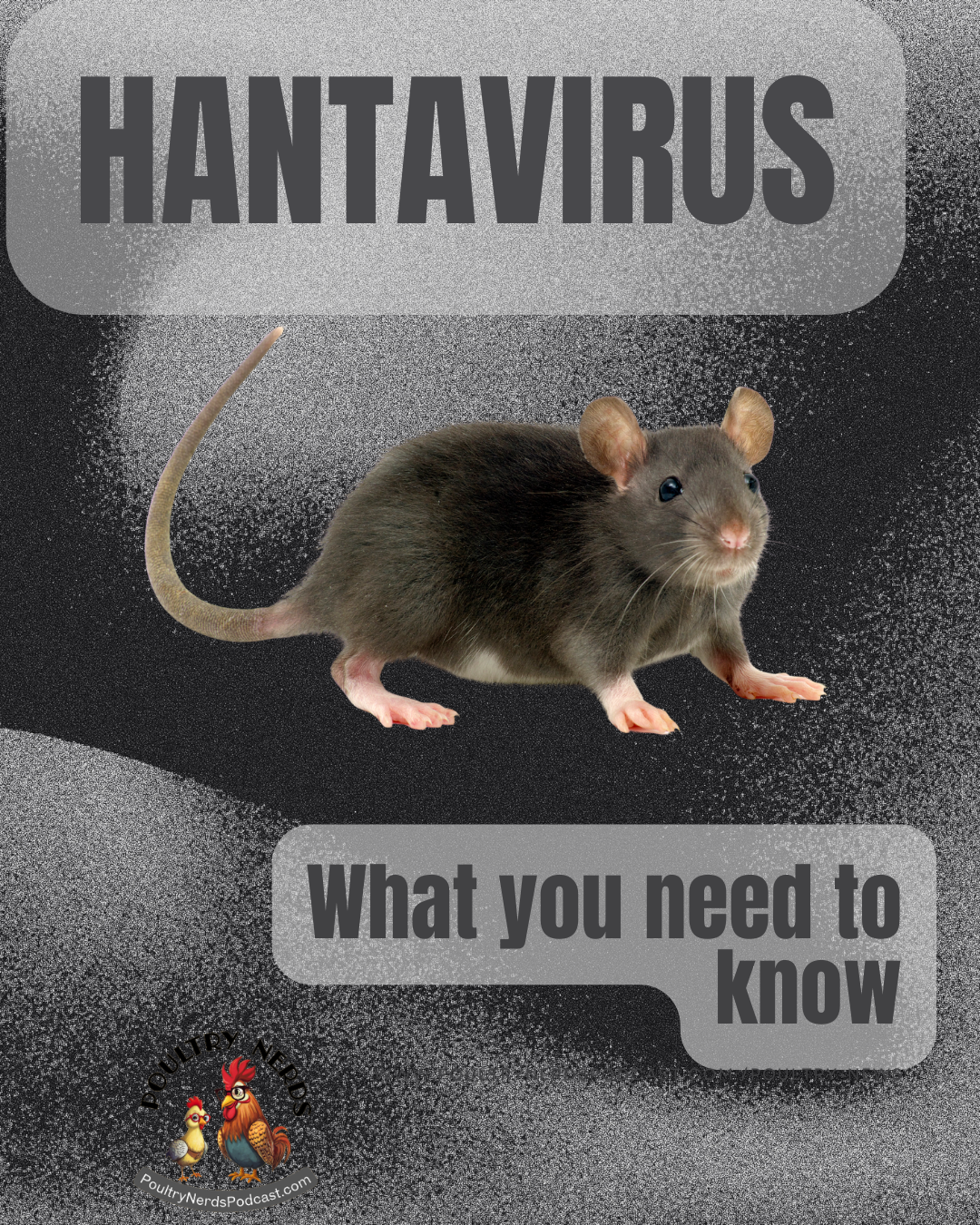 What Poultry Keepers Should Know About Hantavirus and Rodent Control