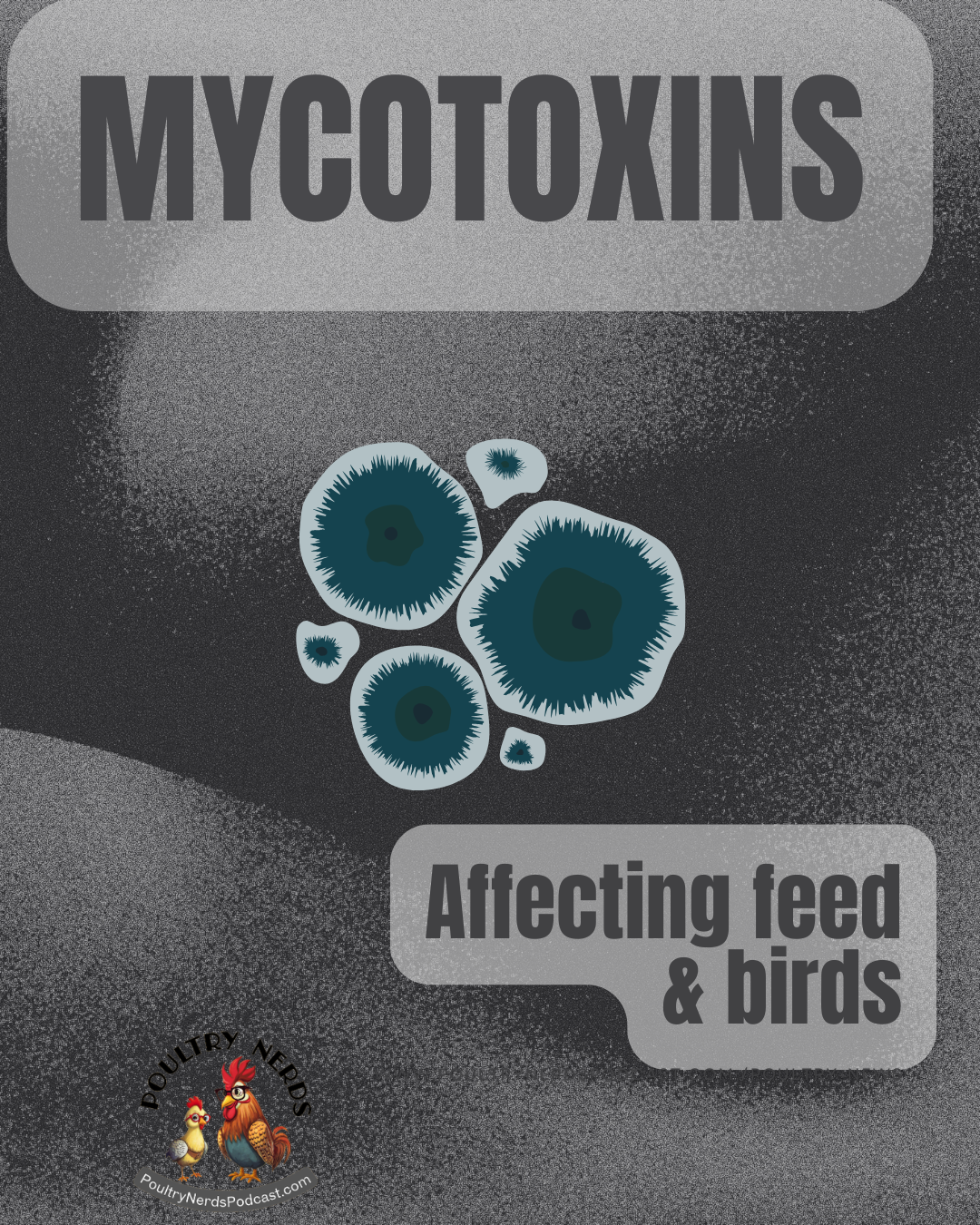 Mycotoxins Found in Poultry Feed Ingredients Worldwide, Including the U.S.