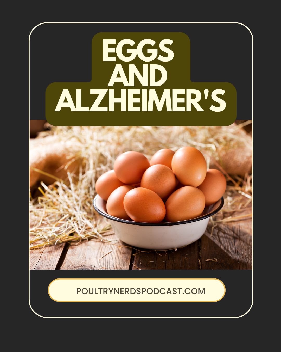 New Study Links Egg Consumption to Lower Alzheimer's Risk