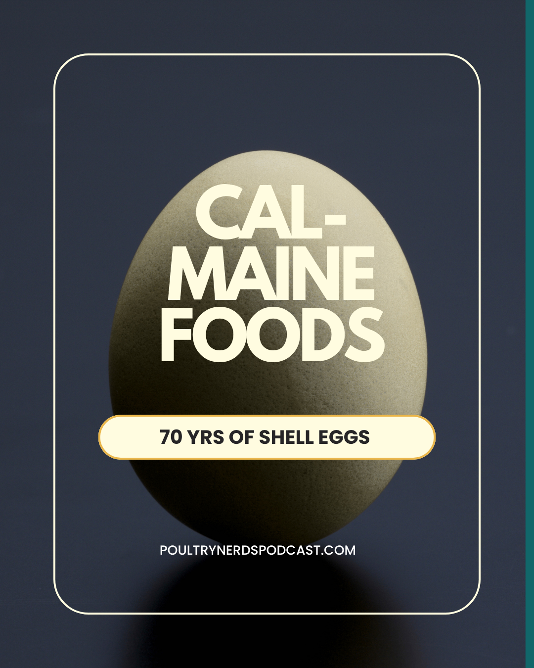 Cal-Maine Foods: From Family Egg Farm to Investor-Owned Food Giant
